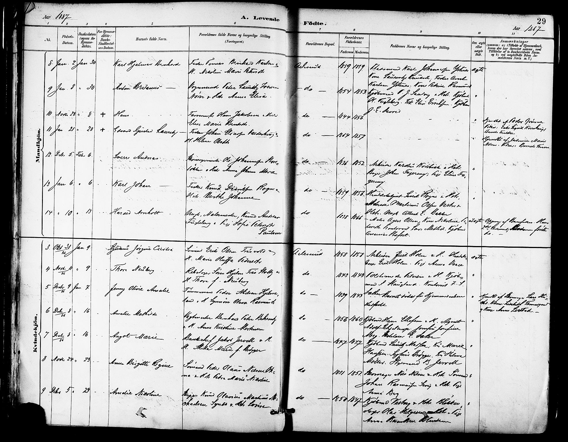 Ministerialprotokoller, klokkerbøker og fødselsregistre - Møre og Romsdal, AV/SAT-A-1454/529/L0455: Ministerialbok nr. 529A05, 1885-1893, s. 29