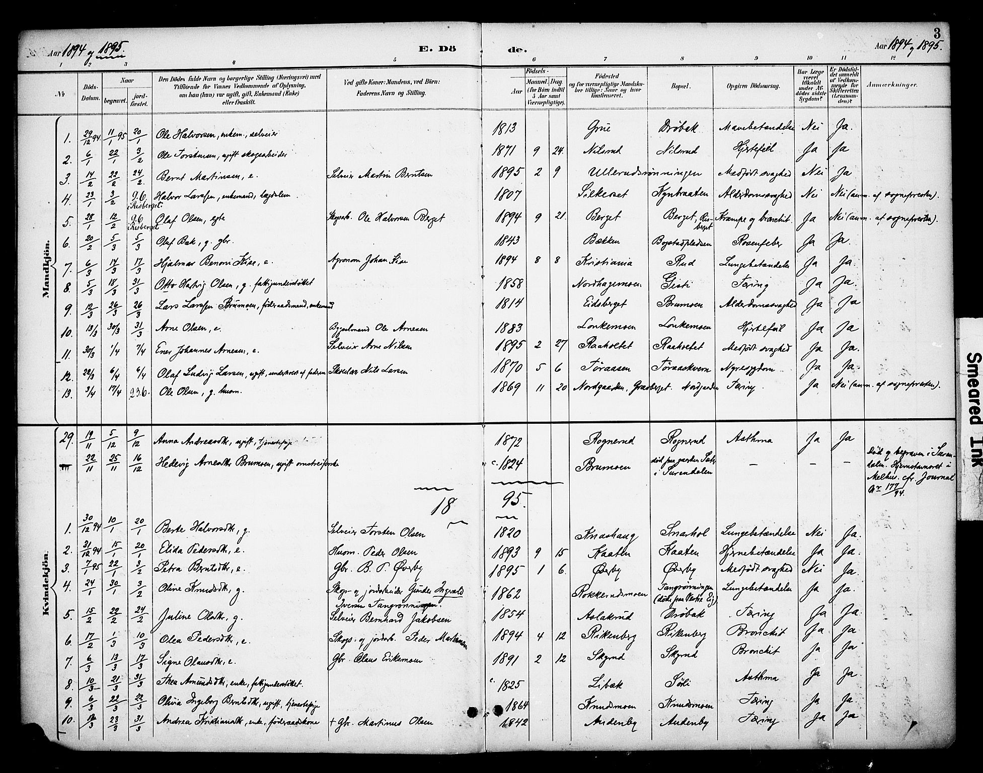 Våler prestekontor, Hedmark, SAH/PREST-040/H/Ha/Haa/L0006: Ministerialbok nr. 6, 1894-1908, s. 3