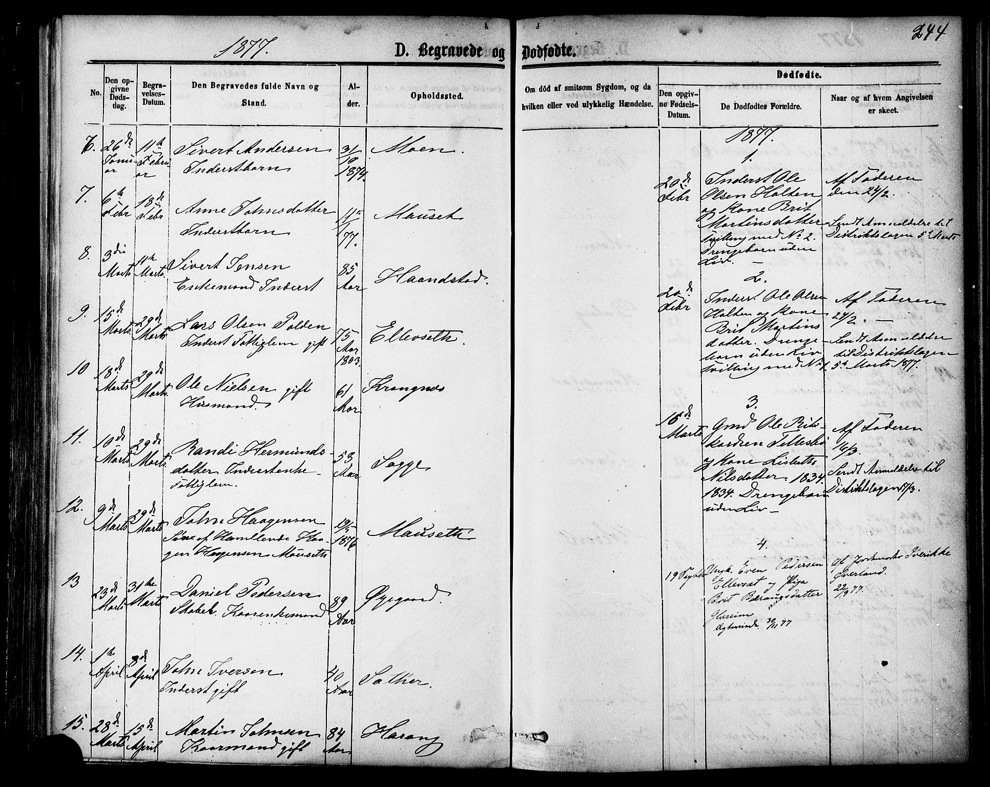 Ministerialprotokoller, klokkerbøker og fødselsregistre - Møre og Romsdal, AV/SAT-A-1454/595/L1046: Ministerialbok nr. 595A08, 1874-1884, s. 244