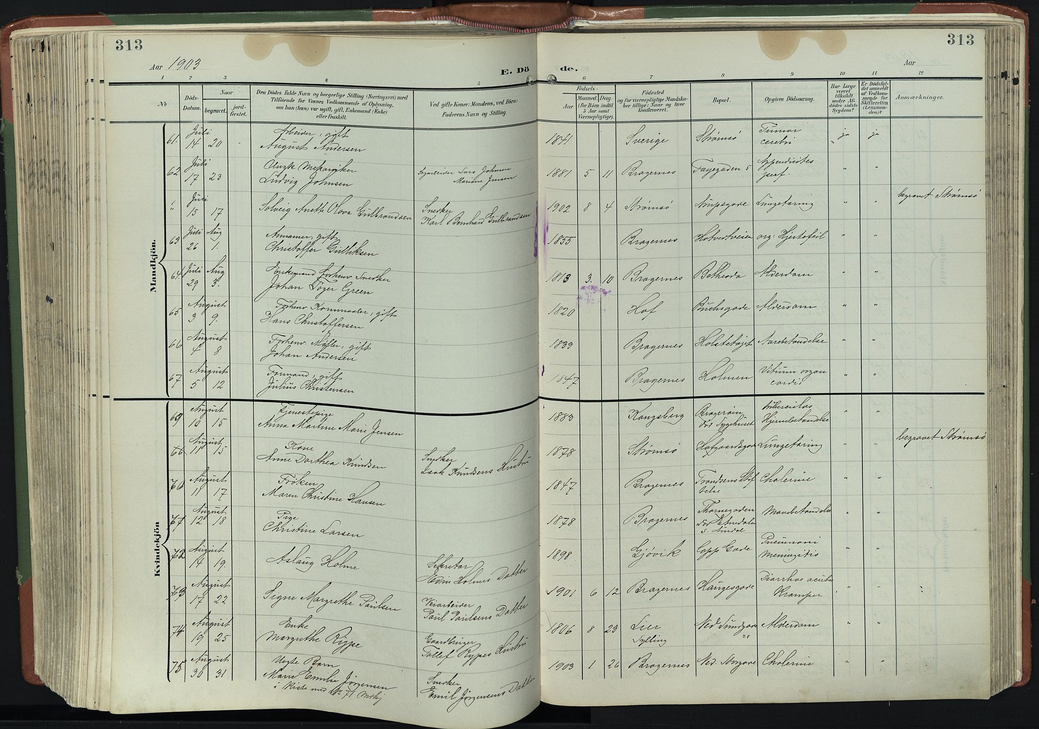 Bragernes kirkebøker, AV/SAKO-A-6/F/Fb/L0009: Ministerialbok nr. II 9, 1902-1911, s. 313
