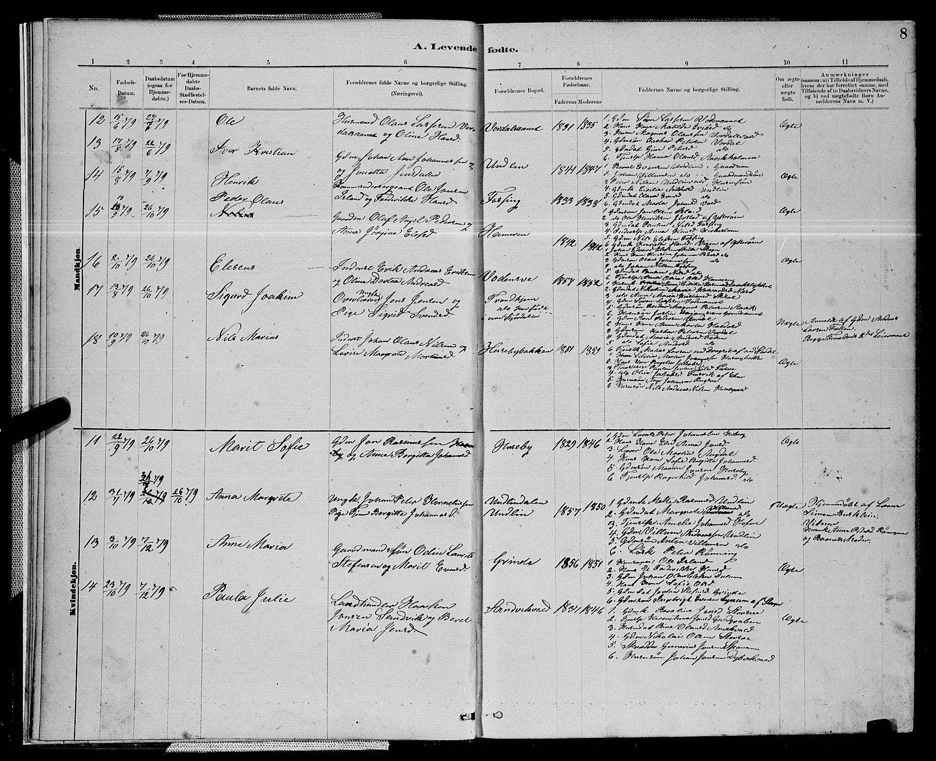 Ministerialprotokoller, klokkerbøker og fødselsregistre - Nord-Trøndelag, AV/SAT-A-1458/714/L0134: Klokkerbok nr. 714C03, 1878-1898, s. 8