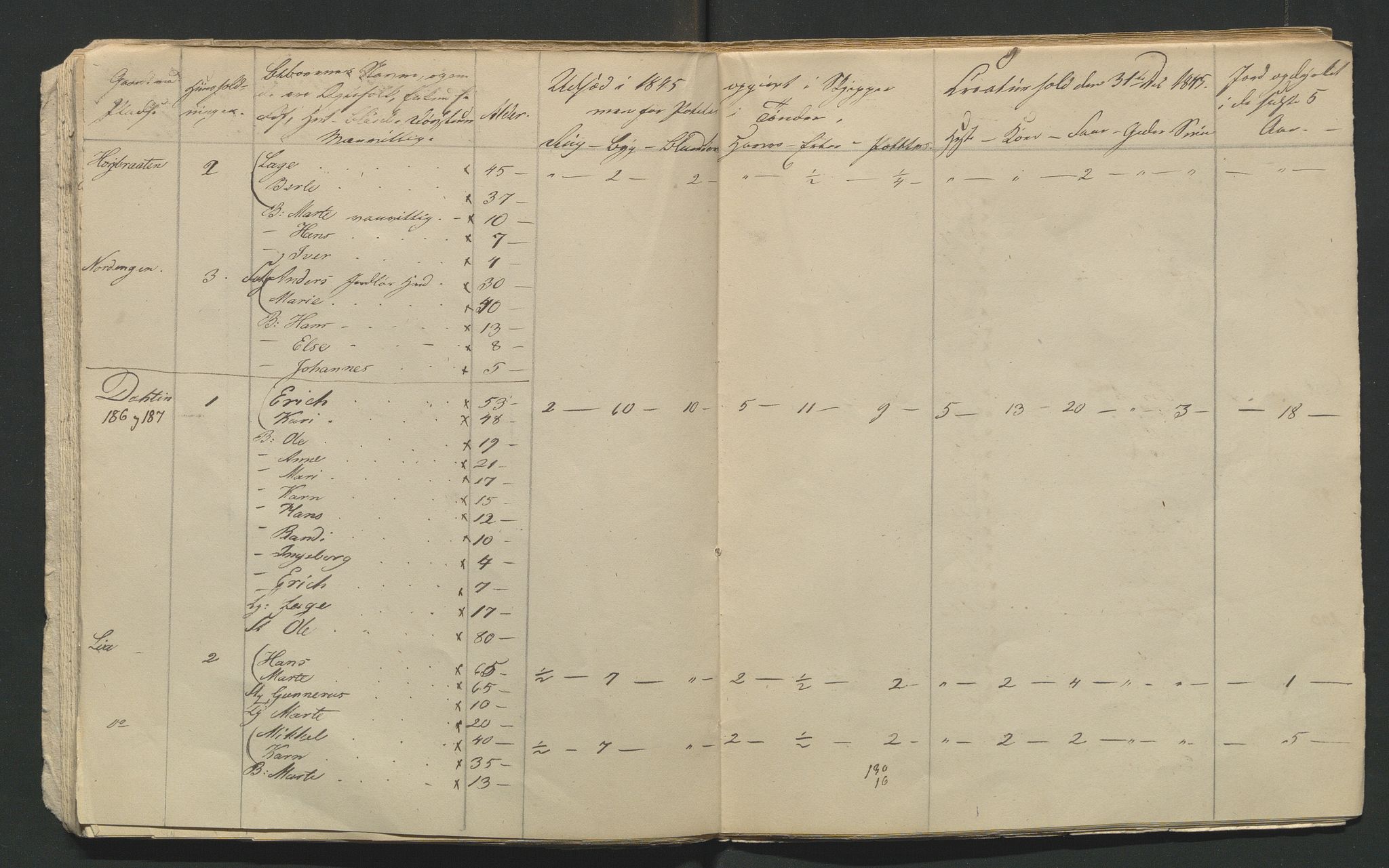 SAH, Lokaliasamlingen for Hedmark og Oppland fylker m.v.: Folketellingen 1845 for Jevnaker prestegjeld, 1845, s. 98