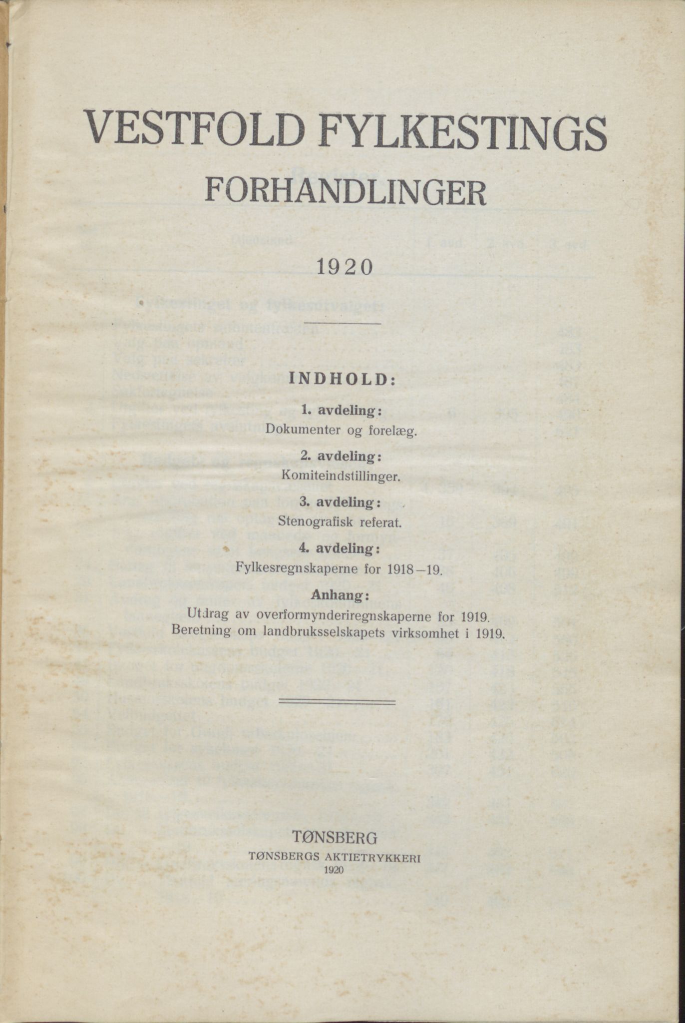 Vestfold fylkeskommune. Fylkestinget, VEMU/A-1315/A/Ab/Abb/L0069: Fylkestingsforhandlinger, 1920