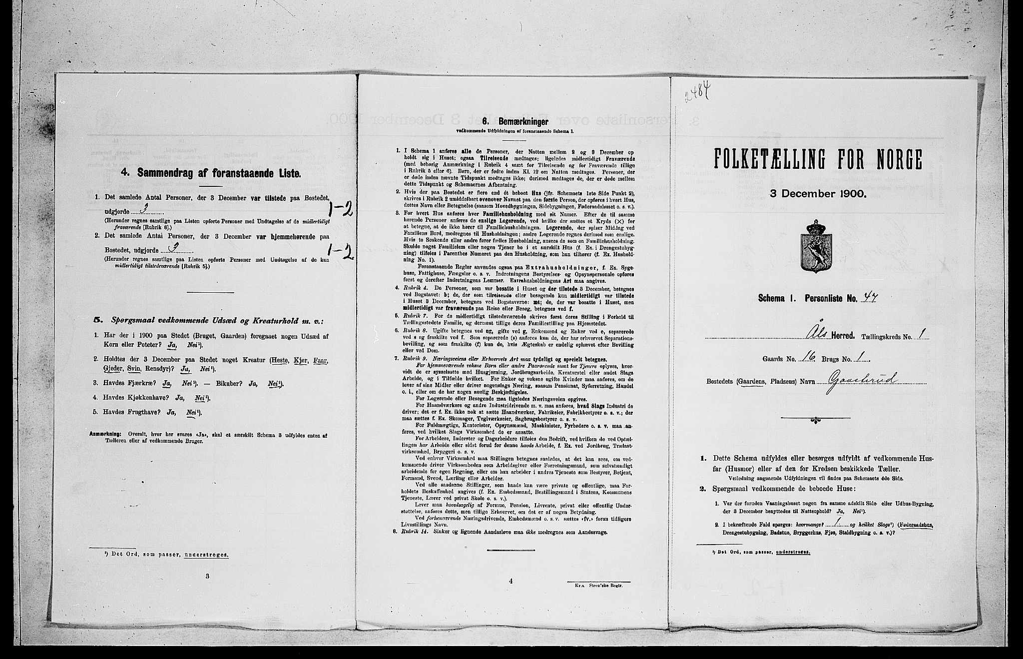 RA, Folketelling 1900 for 0619 Ål herred, 1900, s. 197