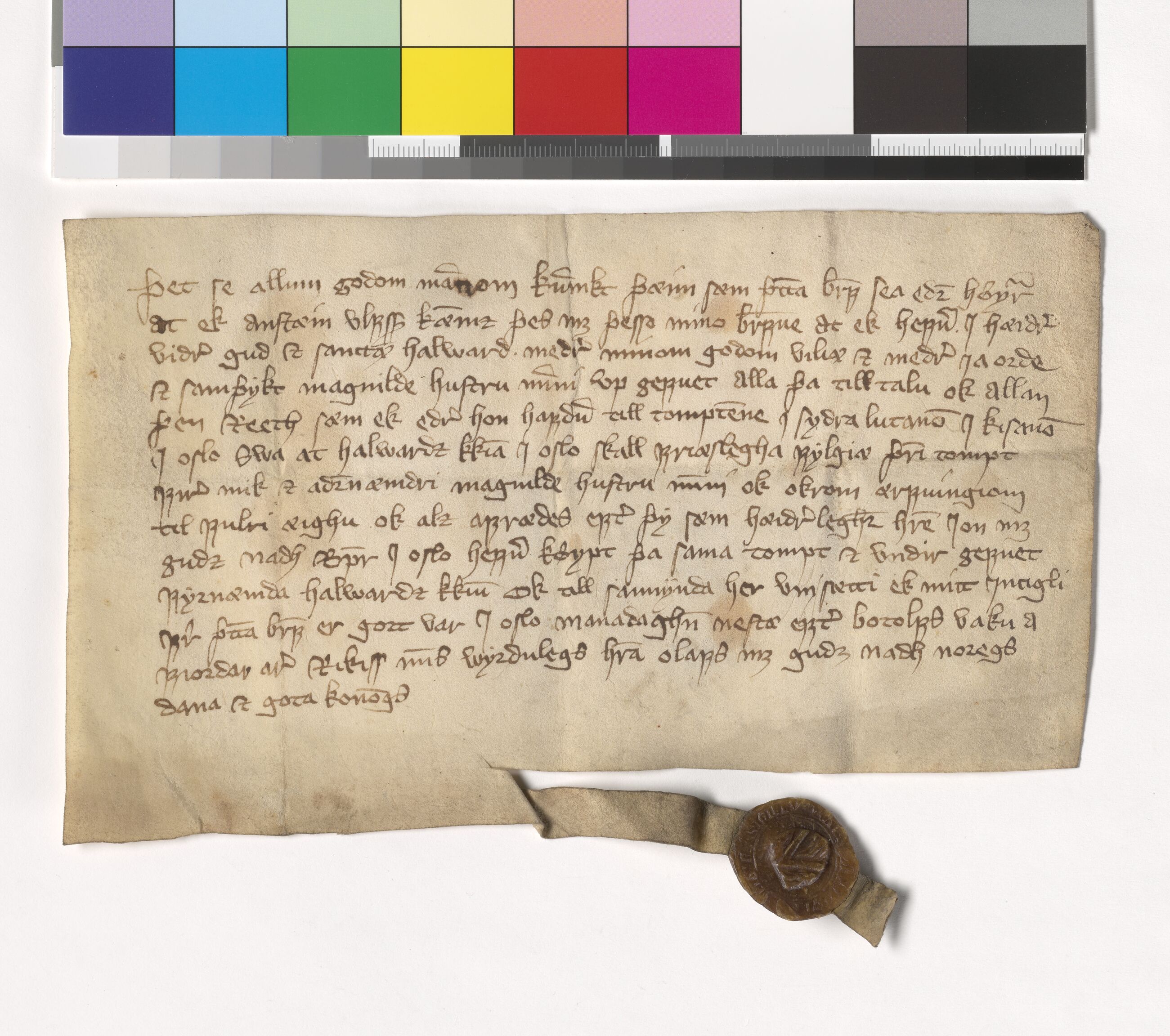 Riksarkivets diplomsamling, AV/RA-EA-5965/F05/L0184: NRA AM fasc. 74 nr. 26 - fasc. 75 nr. 2, 1385-1386, s. 2