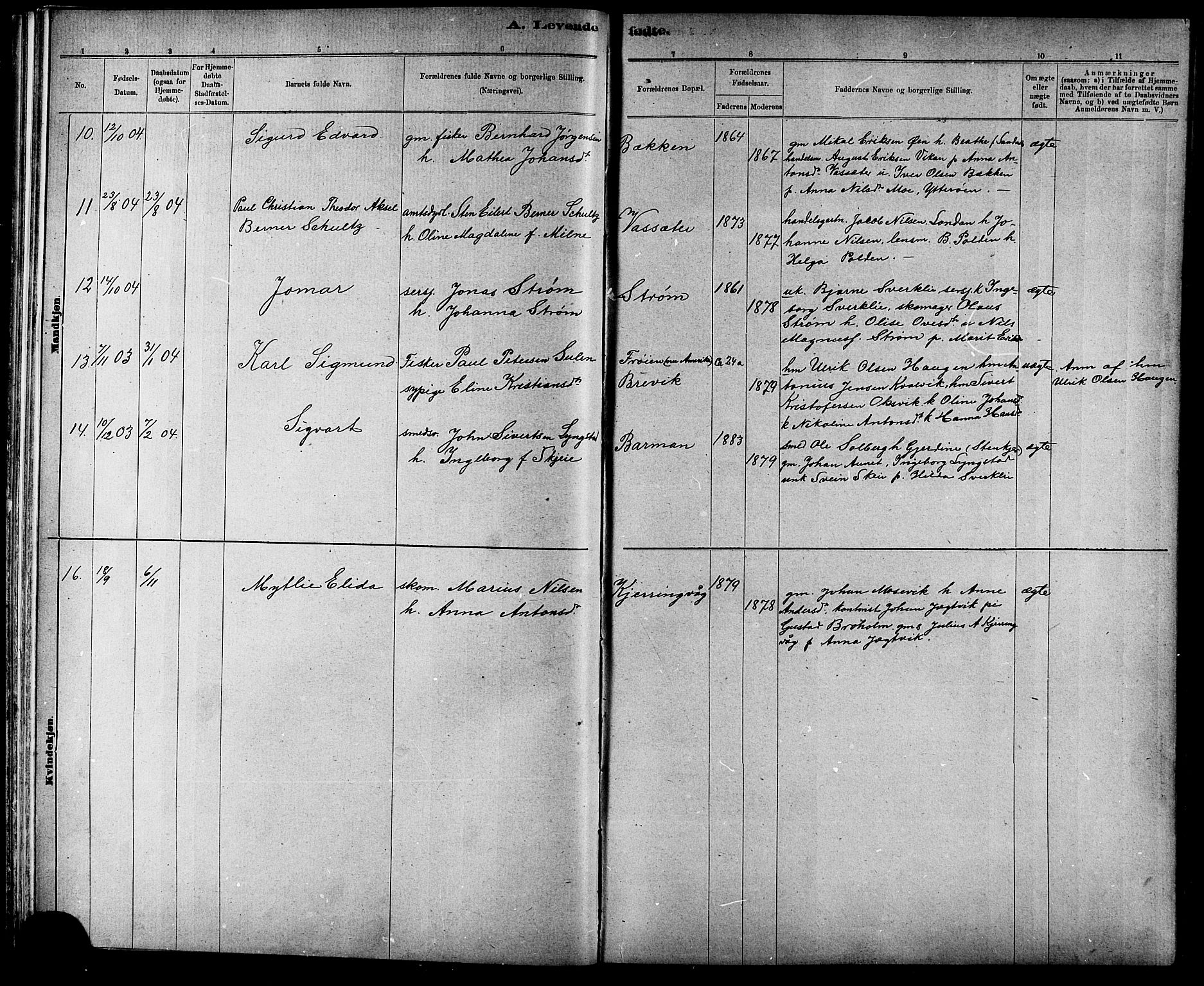 Ministerialprotokoller, klokkerbøker og fødselsregistre - Sør-Trøndelag, SAT/A-1456/634/L0542: Klokkerbok nr. 634C04, 1892-1916