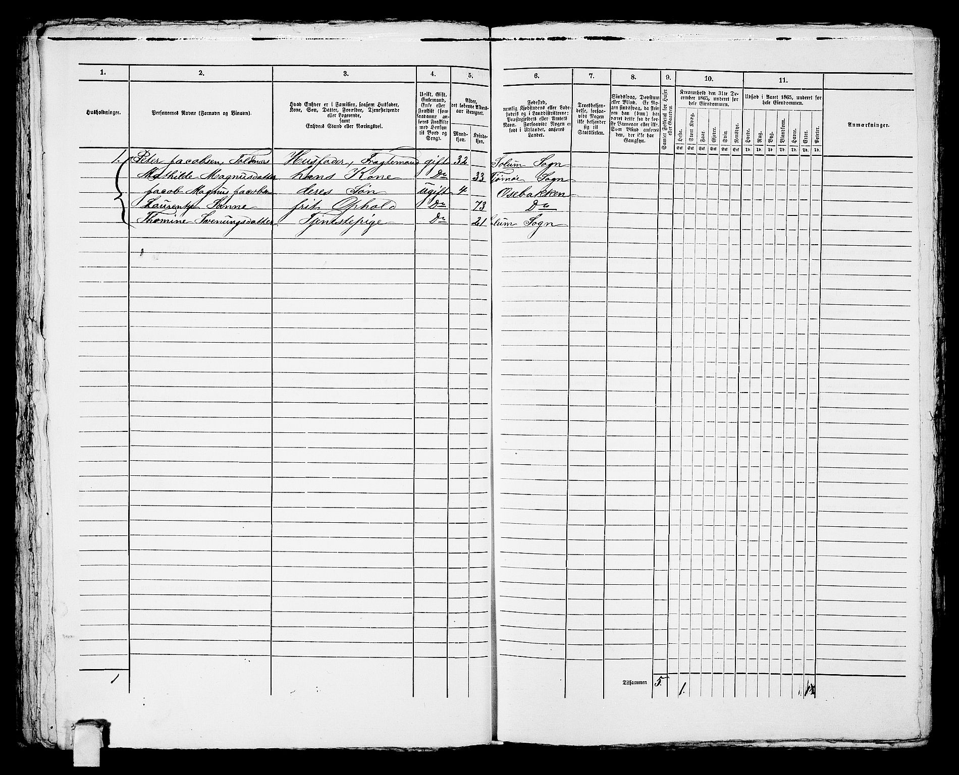 RA, Folketelling 1865 for 0805P Porsgrunn prestegjeld, 1865, s. 495