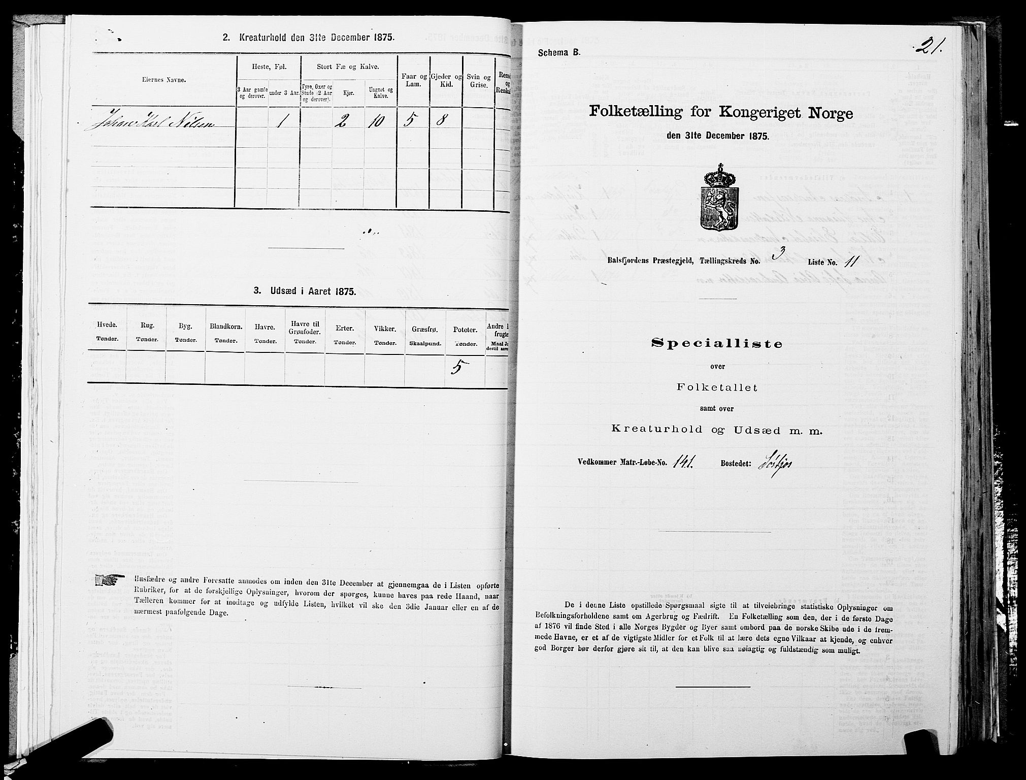 SATØ, Folketelling 1875 for 1933P Balsfjord prestegjeld, 1875, s. 1621