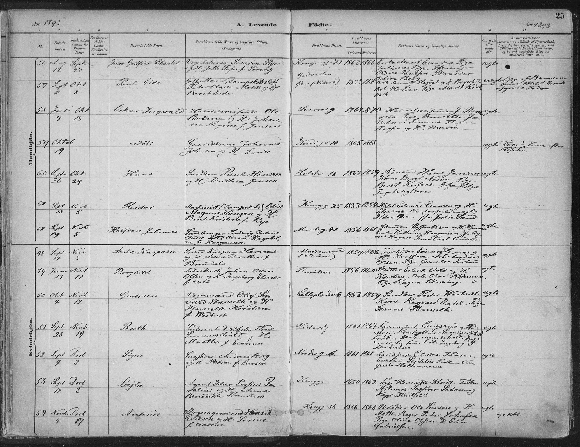 Ministerialprotokoller, klokkerbøker og fødselsregistre - Sør-Trøndelag, AV/SAT-A-1456/601/L0062: Ministerialbok nr. 601A30, 1891-1911, s. 25