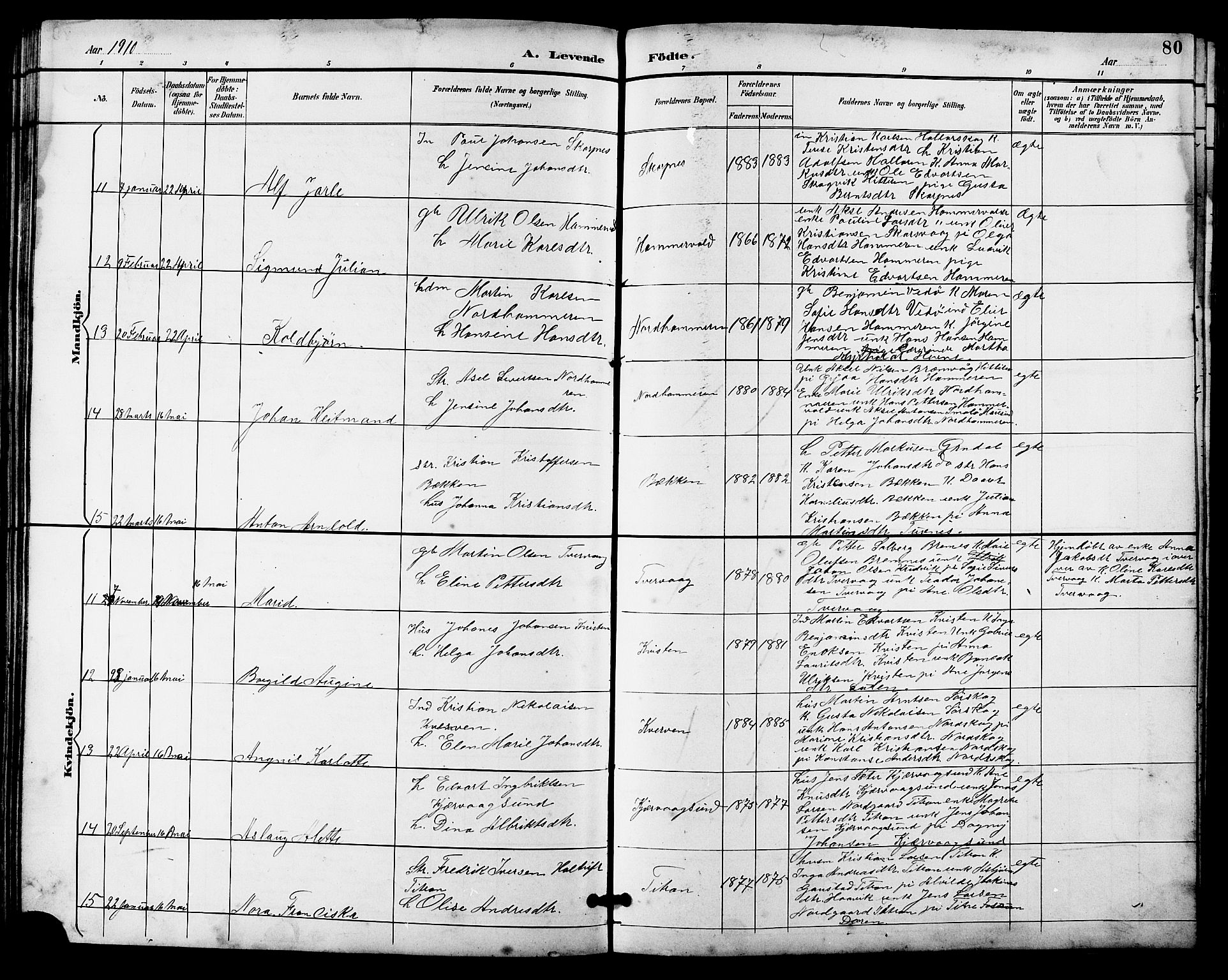 Ministerialprotokoller, klokkerbøker og fødselsregistre - Sør-Trøndelag, SAT/A-1456/641/L0598: Klokkerbok nr. 641C02, 1893-1910, s. 80