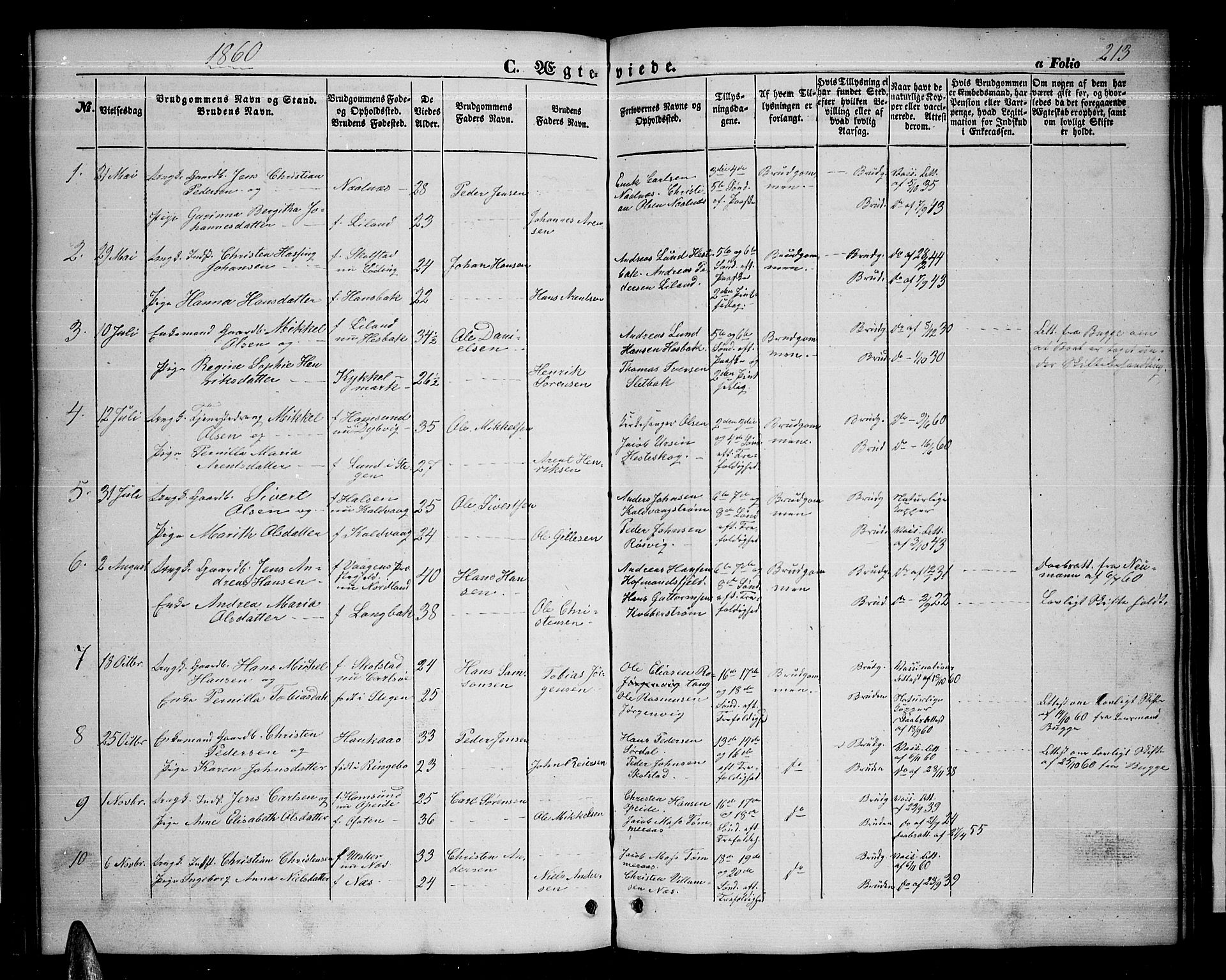 Ministerialprotokoller, klokkerbøker og fødselsregistre - Nordland, SAT/A-1459/859/L0857: Klokkerbok nr. 859C03, 1854-1873, s. 213