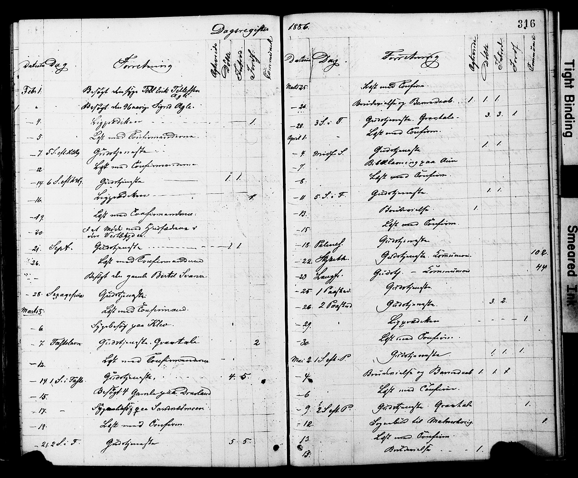 Ministerialprotokoller, klokkerbøker og fødselsregistre - Nord-Trøndelag, SAT/A-1458/749/L0473: Ministerialbok nr. 749A07, 1873-1887, s. 316