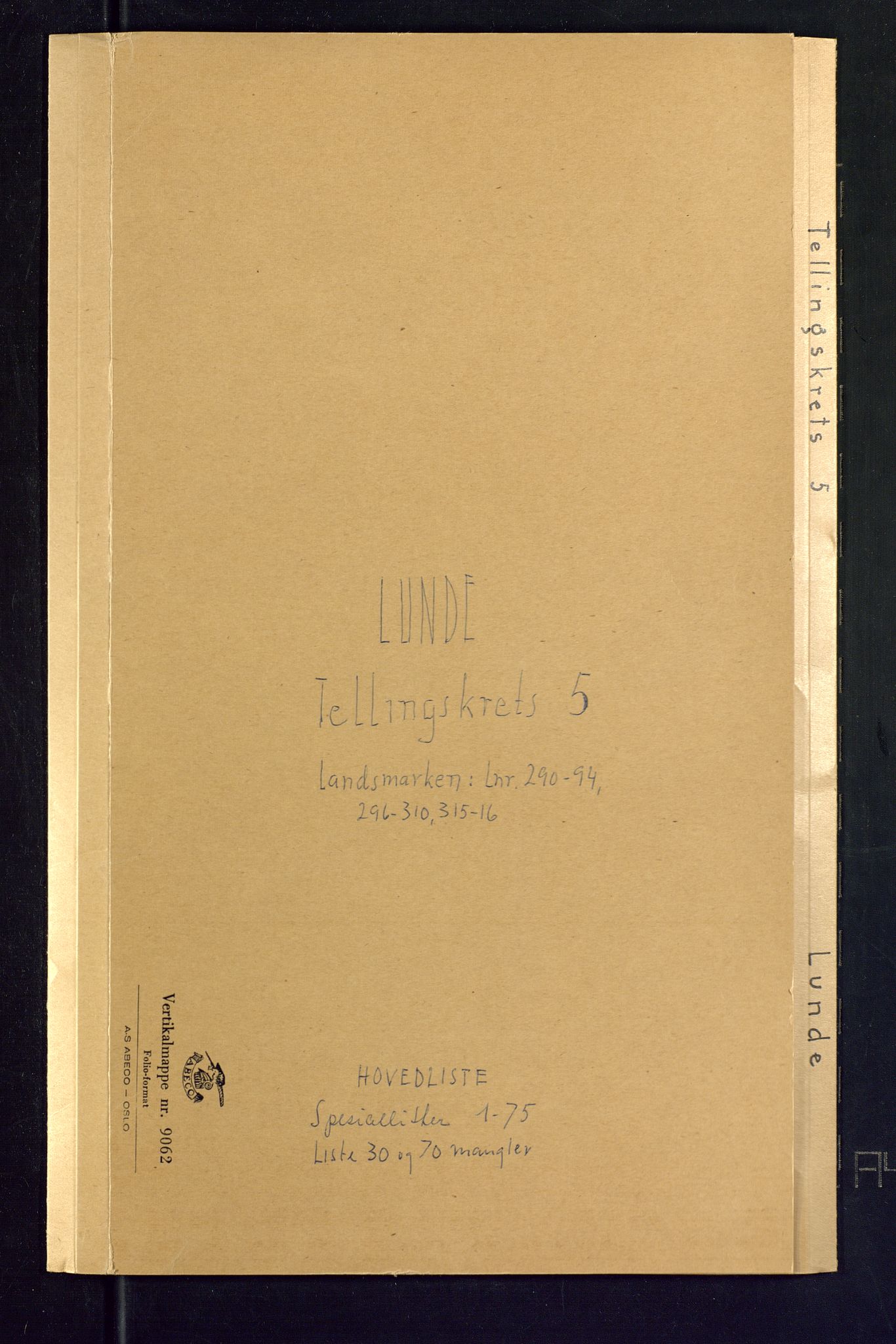 SAKO, Folketelling 1875 for 0820P Lunde prestegjeld, 1875, s. 20
