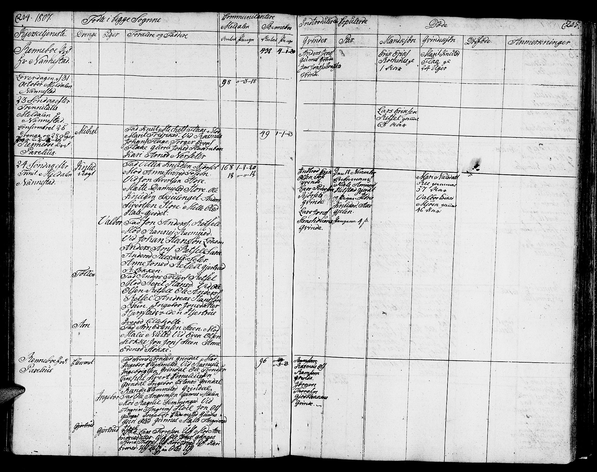 Ministerialprotokoller, klokkerbøker og fødselsregistre - Sør-Trøndelag, SAT/A-1456/672/L0852: Ministerialbok nr. 672A05, 1776-1815, s. 204-205