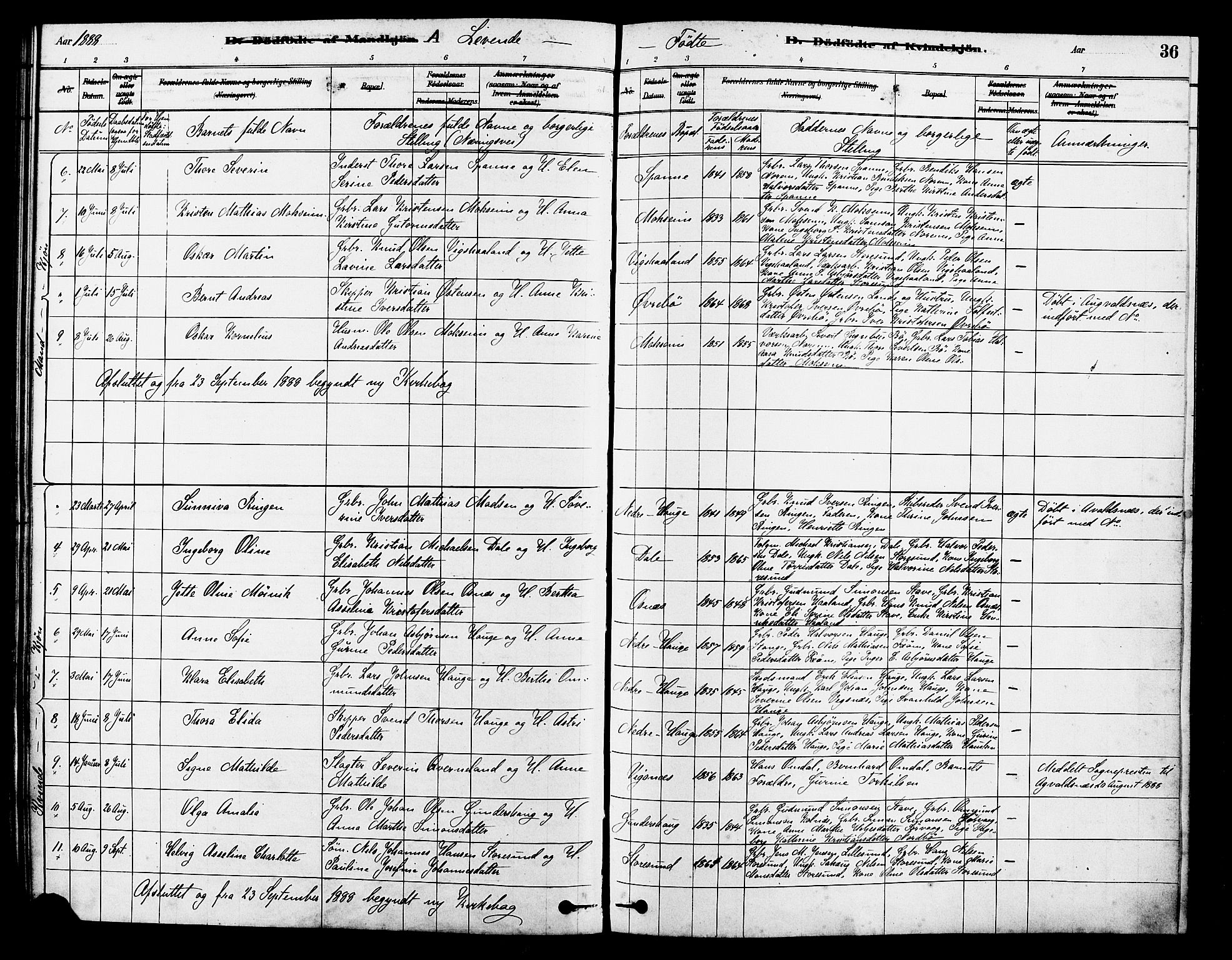 Torvastad sokneprestkontor, AV/SAST-A -101857/H/Ha/Haa/L0014: Ministerialbok nr. A 13, 1879-1888, s. 36