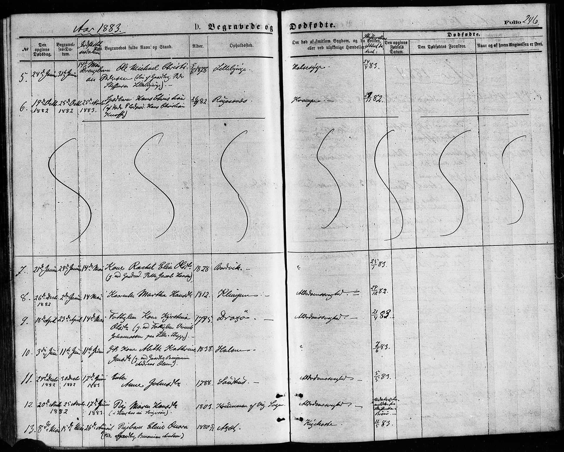 Ministerialprotokoller, klokkerbøker og fødselsregistre - Nordland, AV/SAT-A-1459/814/L0225: Ministerialbok nr. 814A06, 1875-1885, s. 246