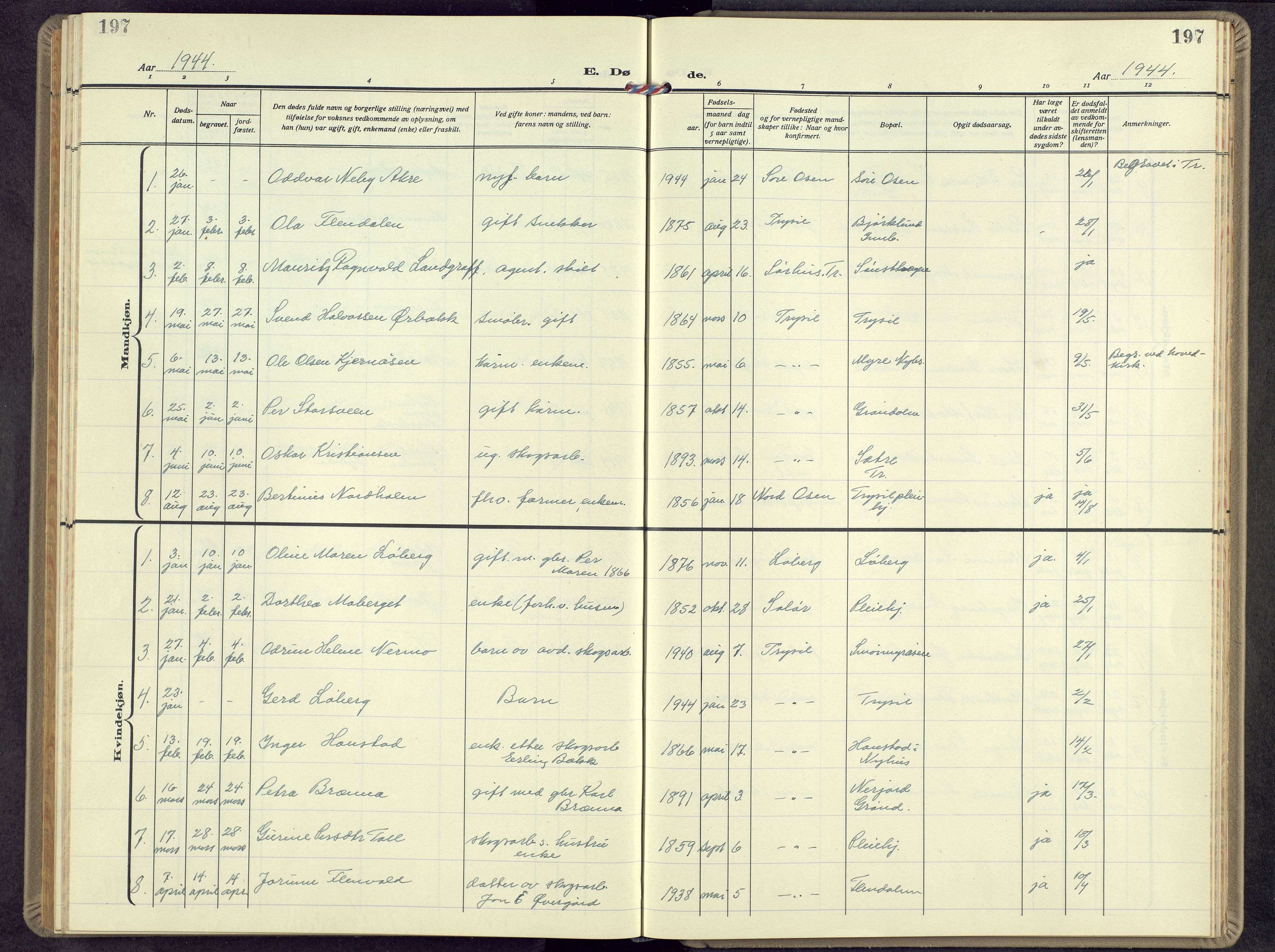 Trysil prestekontor, AV/SAH-PREST-046/H/Ha/Hab/L0012: Klokkerbok nr. 12, 1938-1959, s. 197