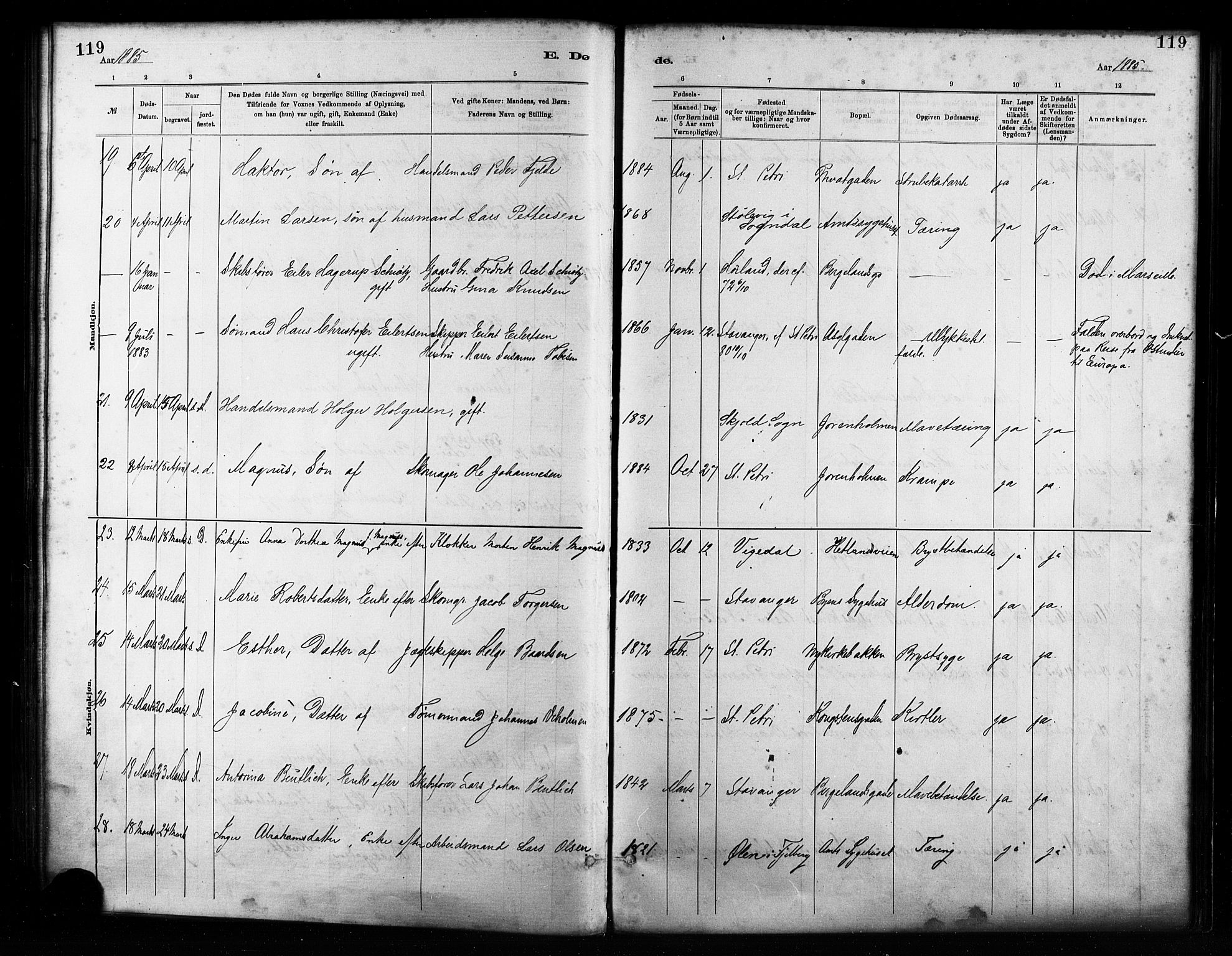 St. Petri sokneprestkontor, AV/SAST-A-101813/001/30/30BA/L0017: Ministerialbok nr. A 17, 1879-1895, s. 119