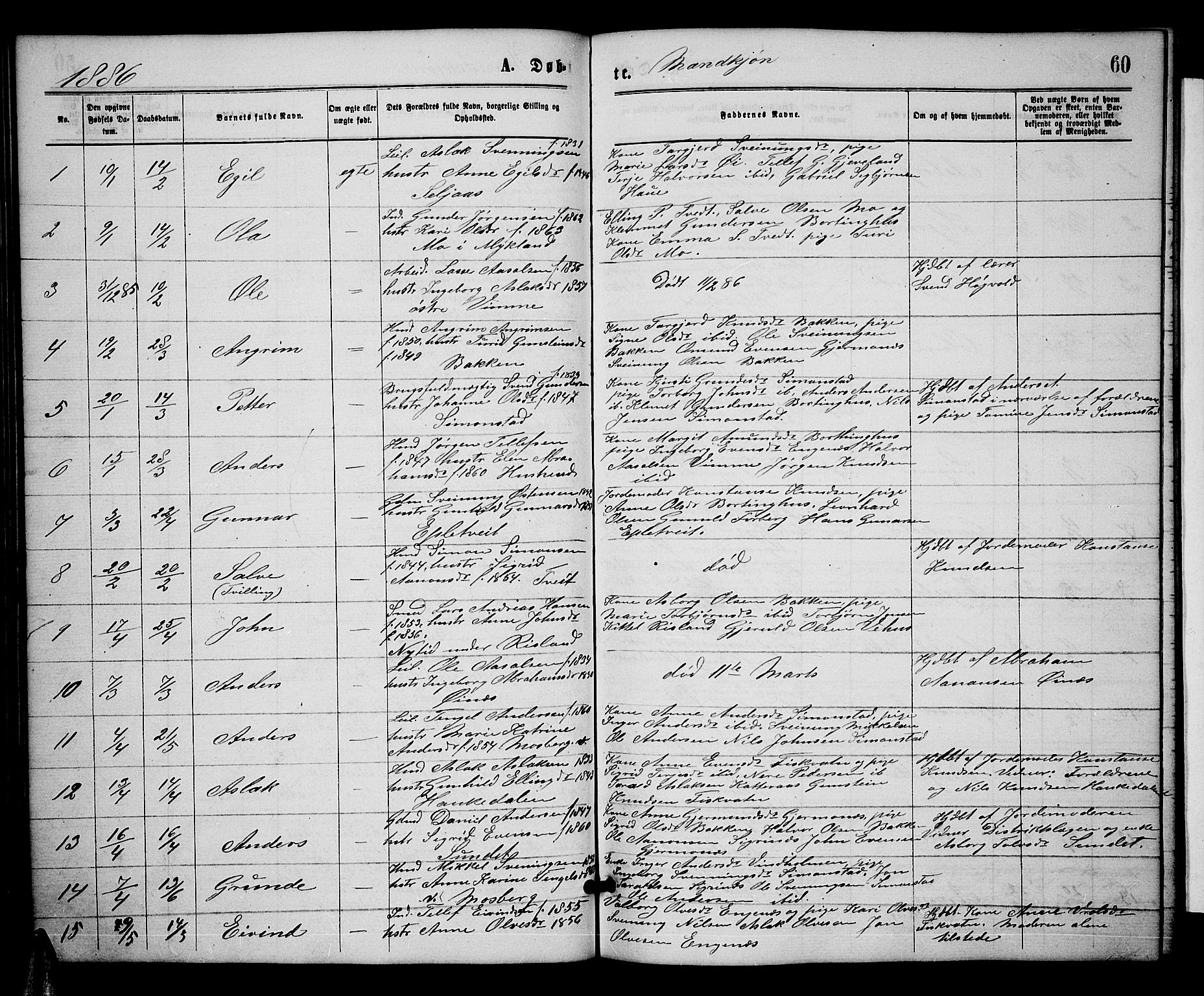 Åmli sokneprestkontor, SAK/1111-0050/F/Fb/Fbc/L0003: Klokkerbok nr. B 3, 1868-1888, s. 60