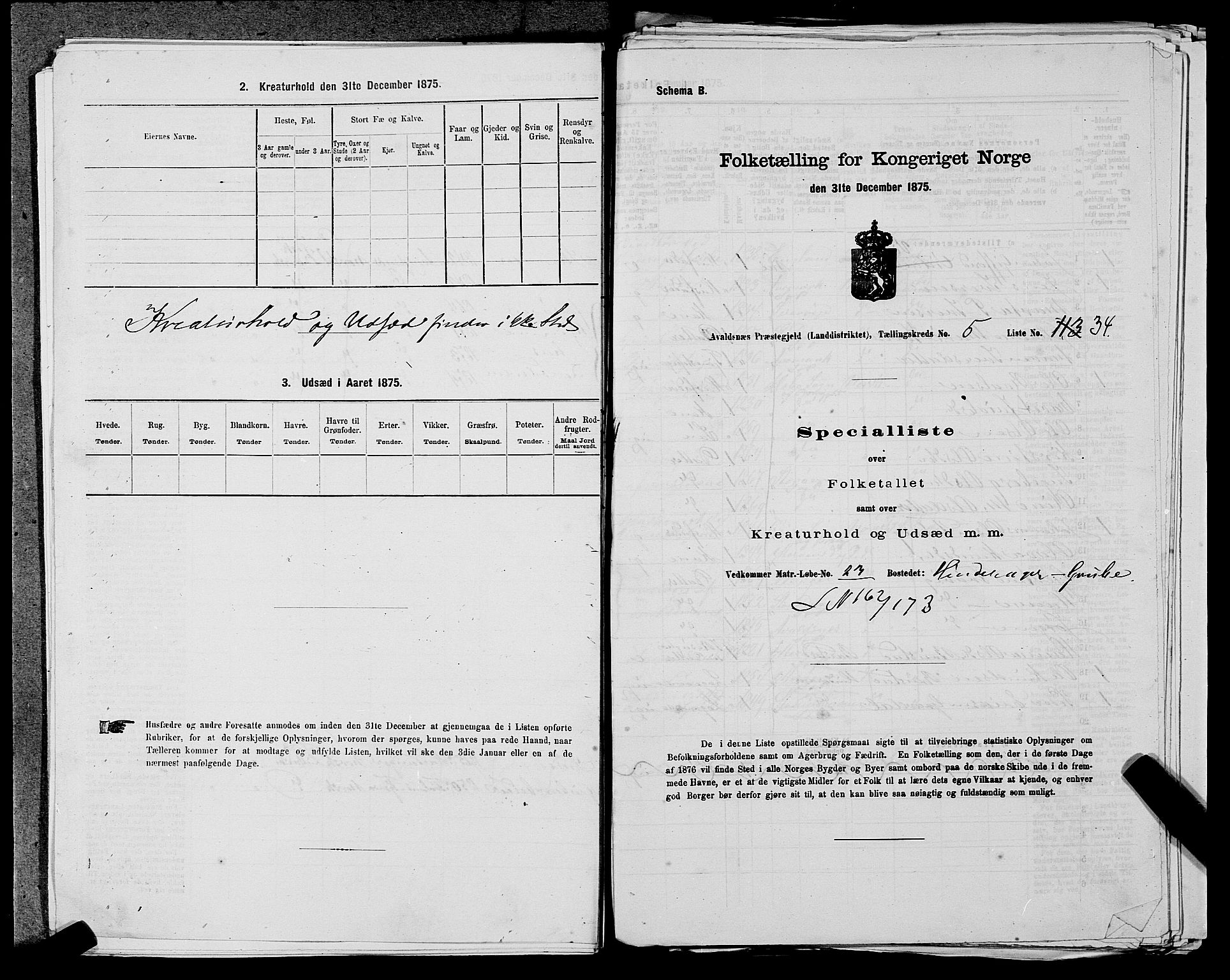 SAST, Folketelling 1875 for 1147L Avaldsnes prestegjeld, Avaldsnes sokn og Kopervik landsokn, 1875, s. 733