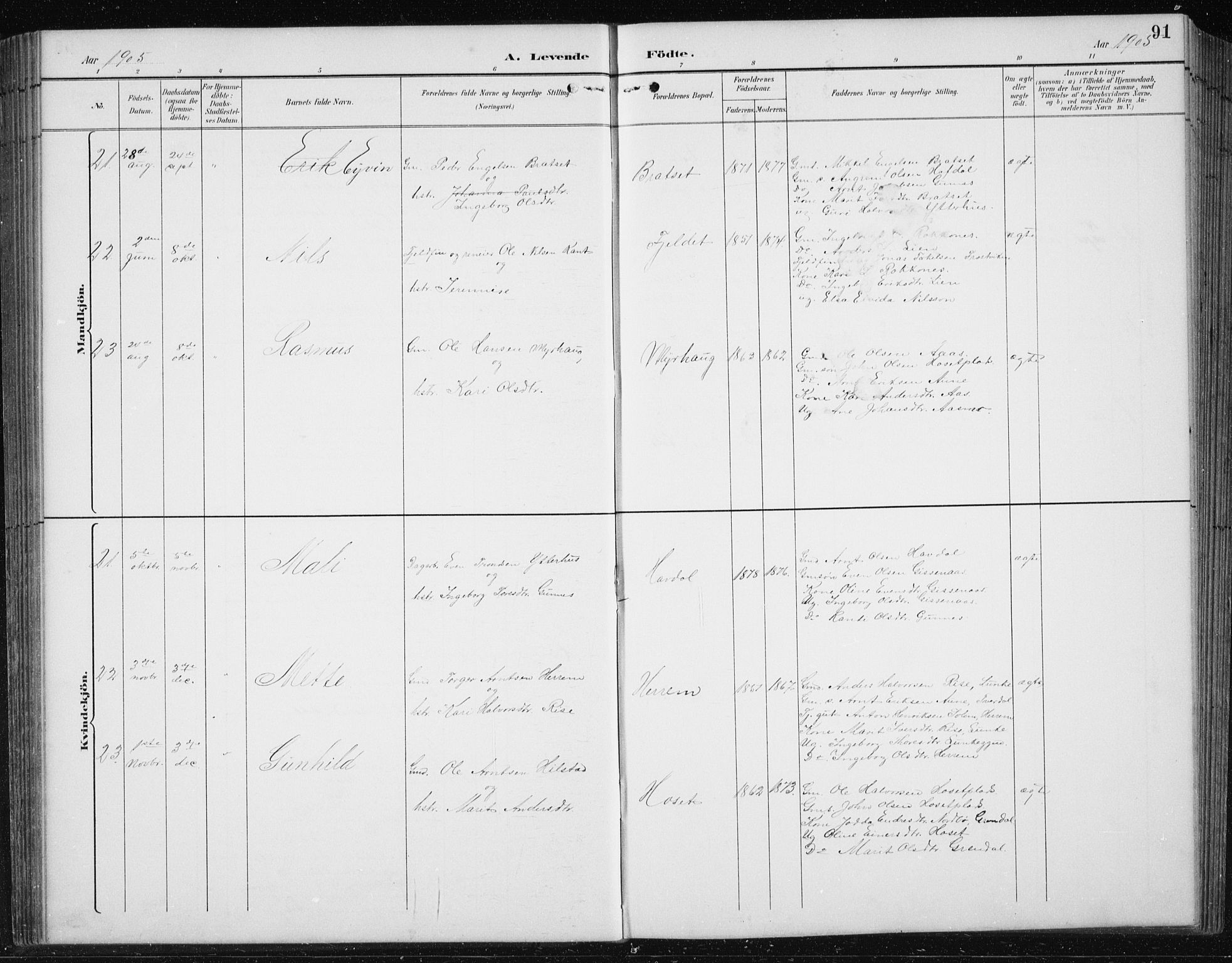 Ministerialprotokoller, klokkerbøker og fødselsregistre - Sør-Trøndelag, AV/SAT-A-1456/674/L0876: Klokkerbok nr. 674C03, 1892-1912, s. 91