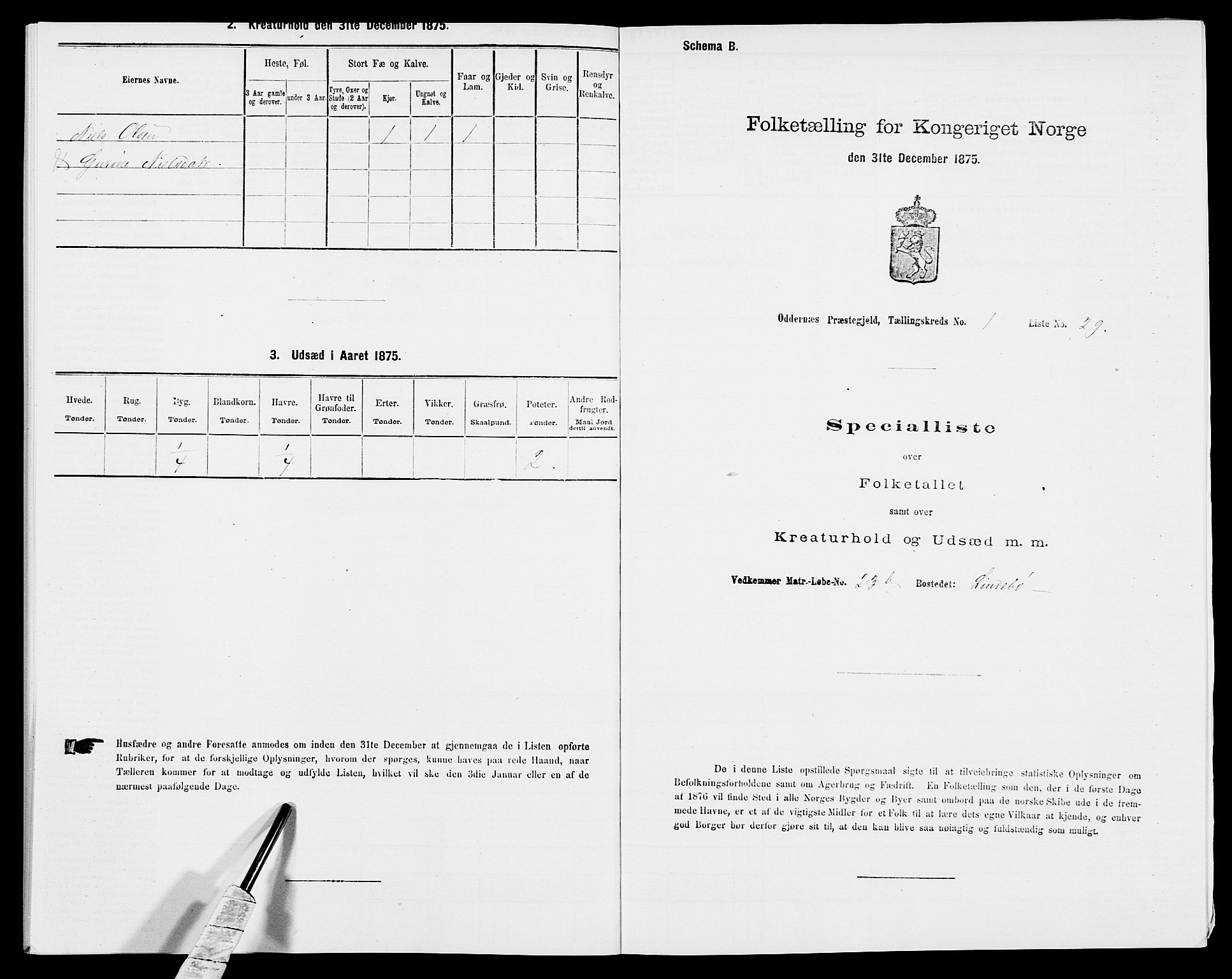 SAK, Folketelling 1875 for 1012P Oddernes prestegjeld, 1875, s. 115