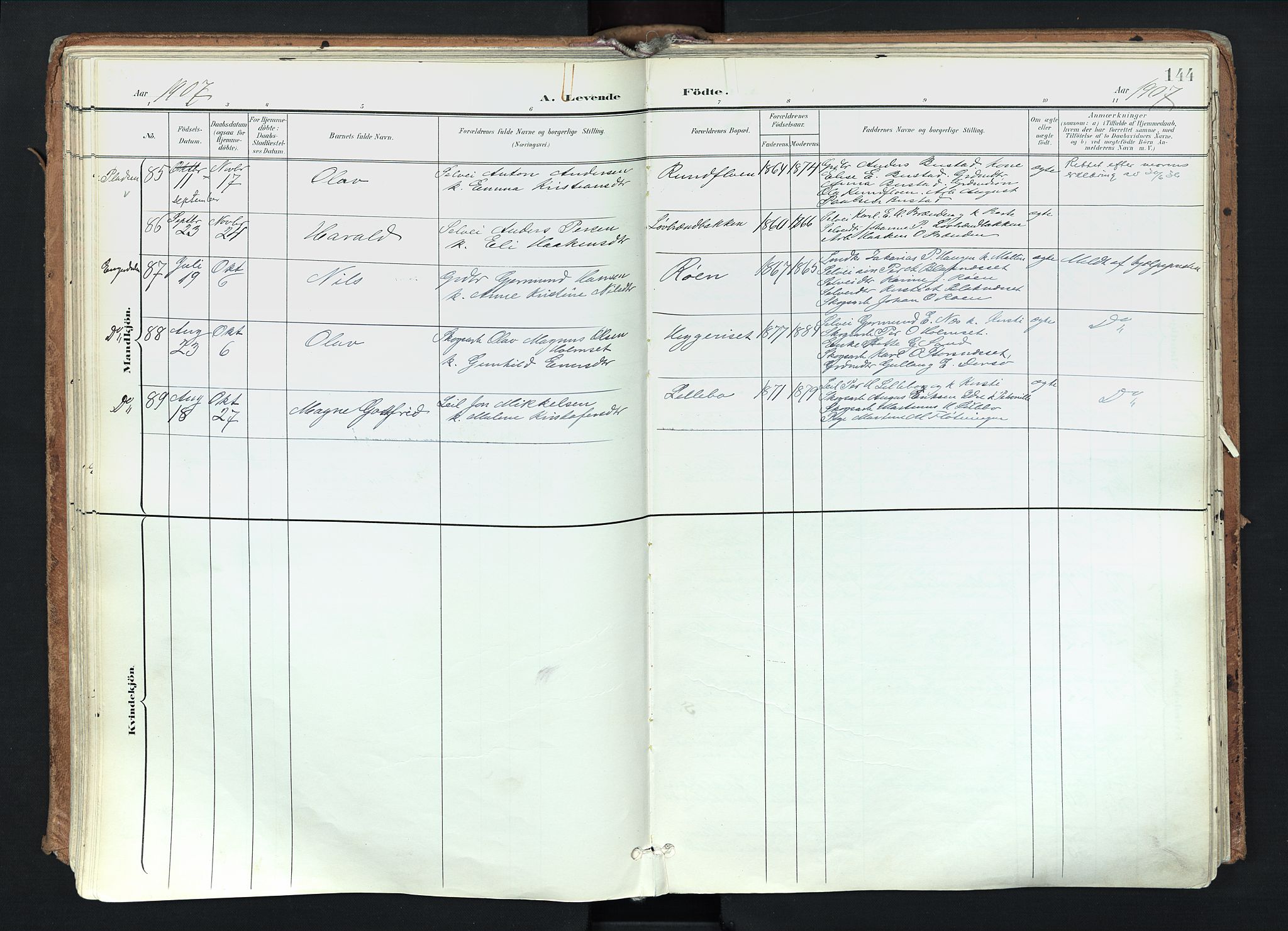 Trysil prestekontor, AV/SAH-PREST-046/H/Ha/Haa/L0012: Ministerialbok nr. 12, 1898-1917, s. 144