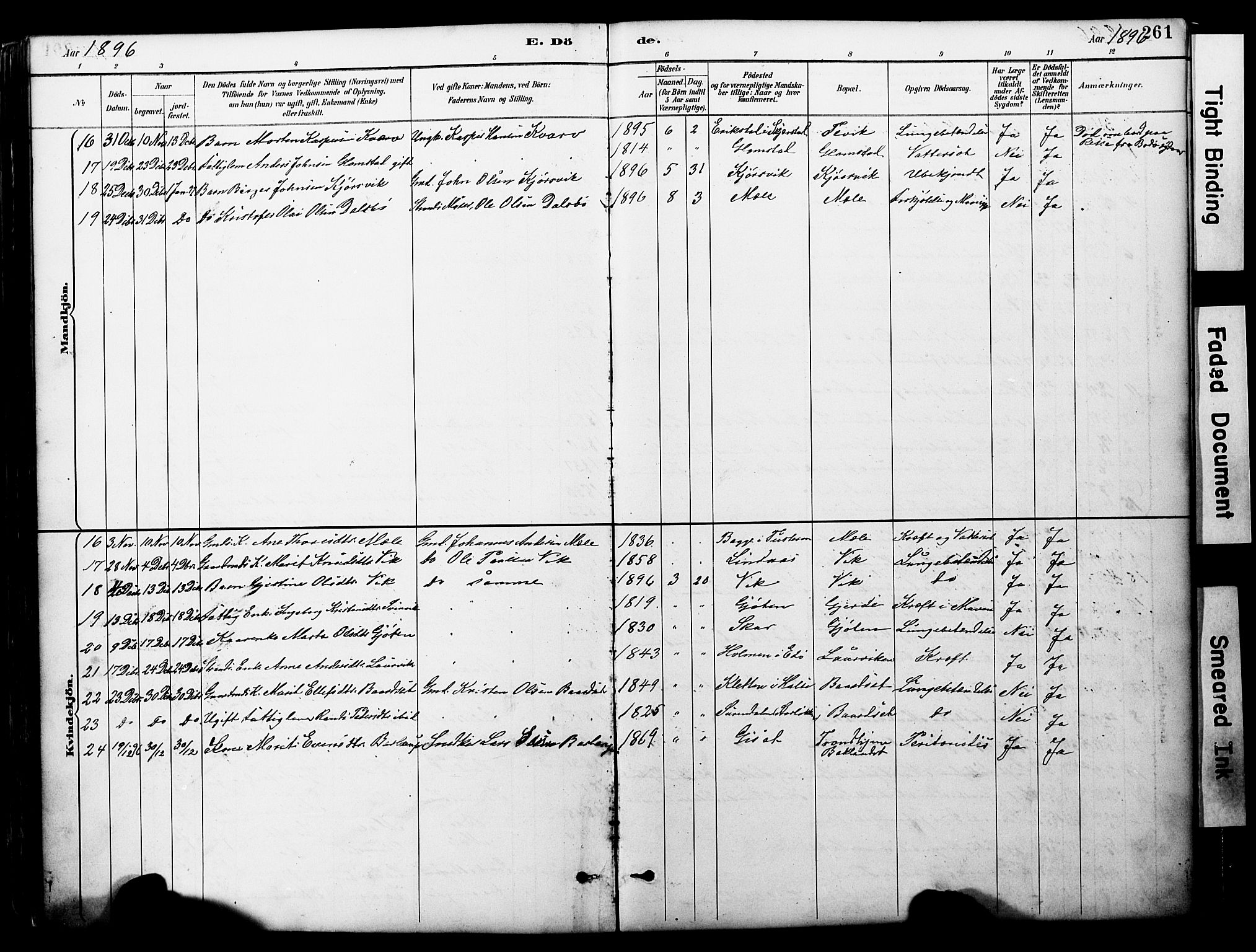 Ministerialprotokoller, klokkerbøker og fødselsregistre - Møre og Romsdal, AV/SAT-A-1454/578/L0907: Ministerialbok nr. 578A06, 1887-1904, s. 261