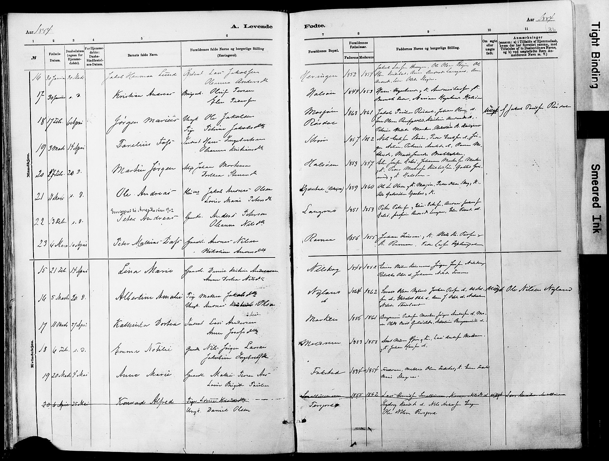 Ministerialprotokoller, klokkerbøker og fødselsregistre - Nordland, AV/SAT-A-1459/820/L0295: Ministerialbok nr. 820A16, 1880-1896, s. 36