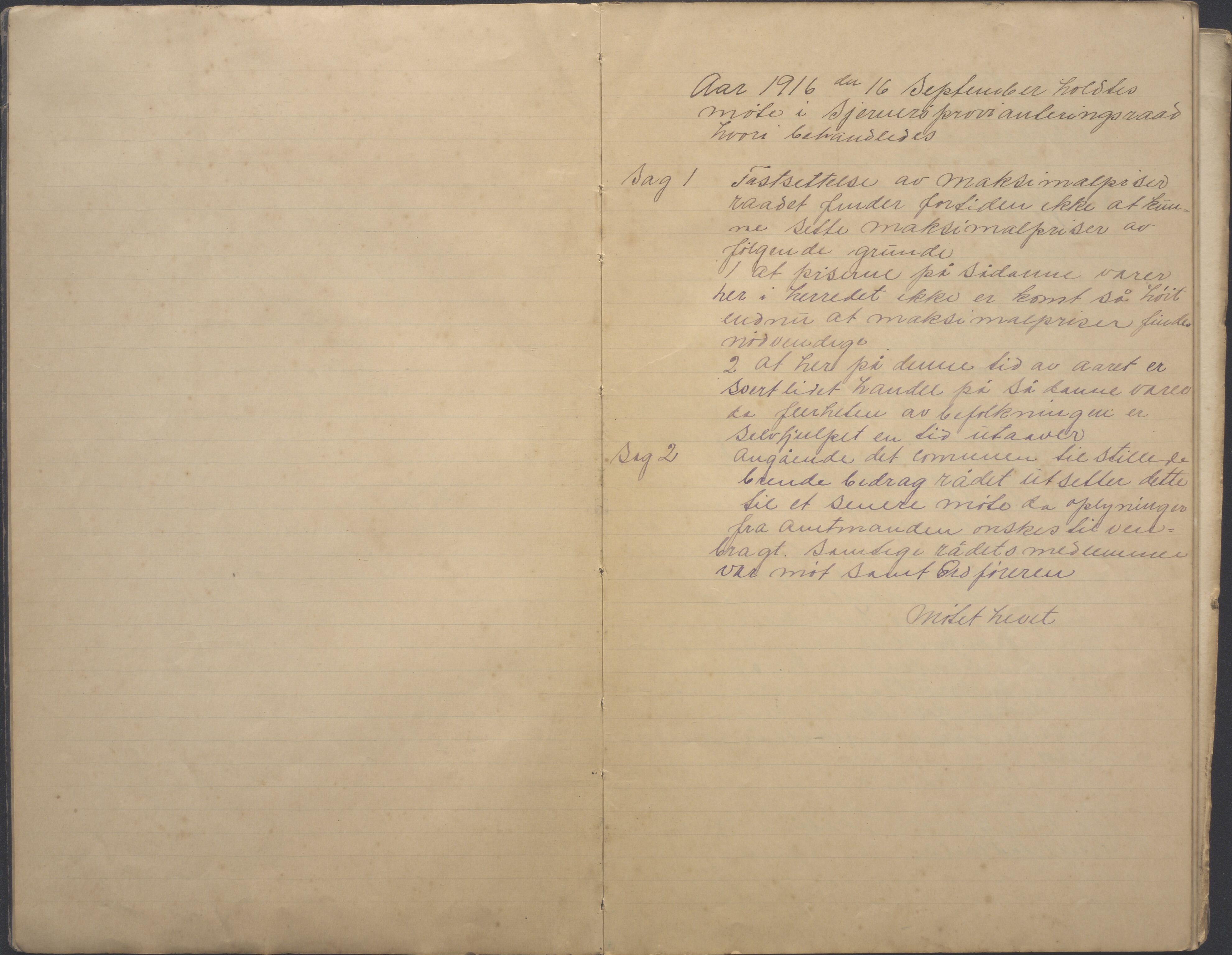 Sjernarøy kommune. Provianteringsrådet, BYST/A-0914/A/L0001: Møtebok og regnskapsbok, 1916-1919