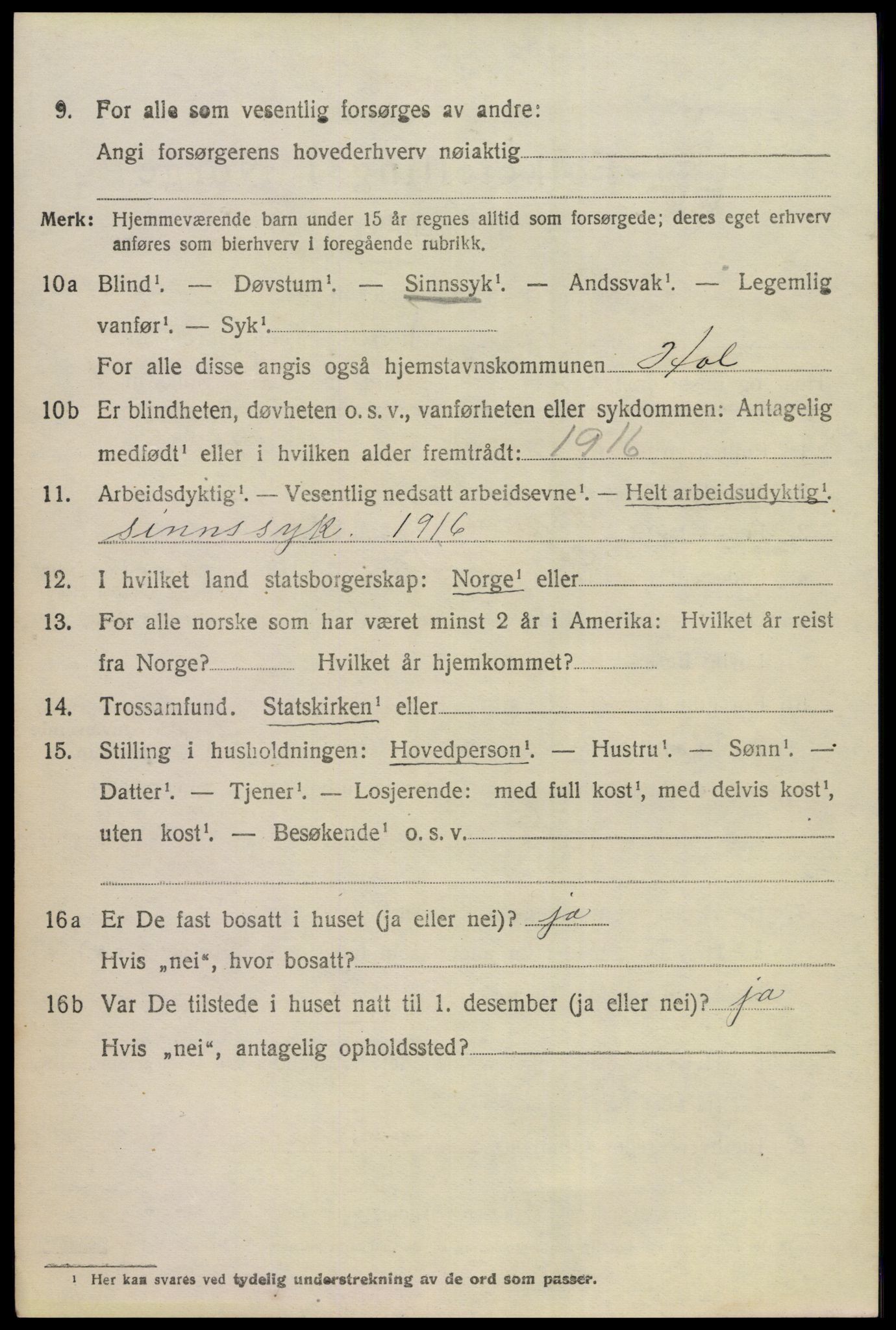 SAKO, Folketelling 1920 for 0620 Hol herred, 1920, s. 4942