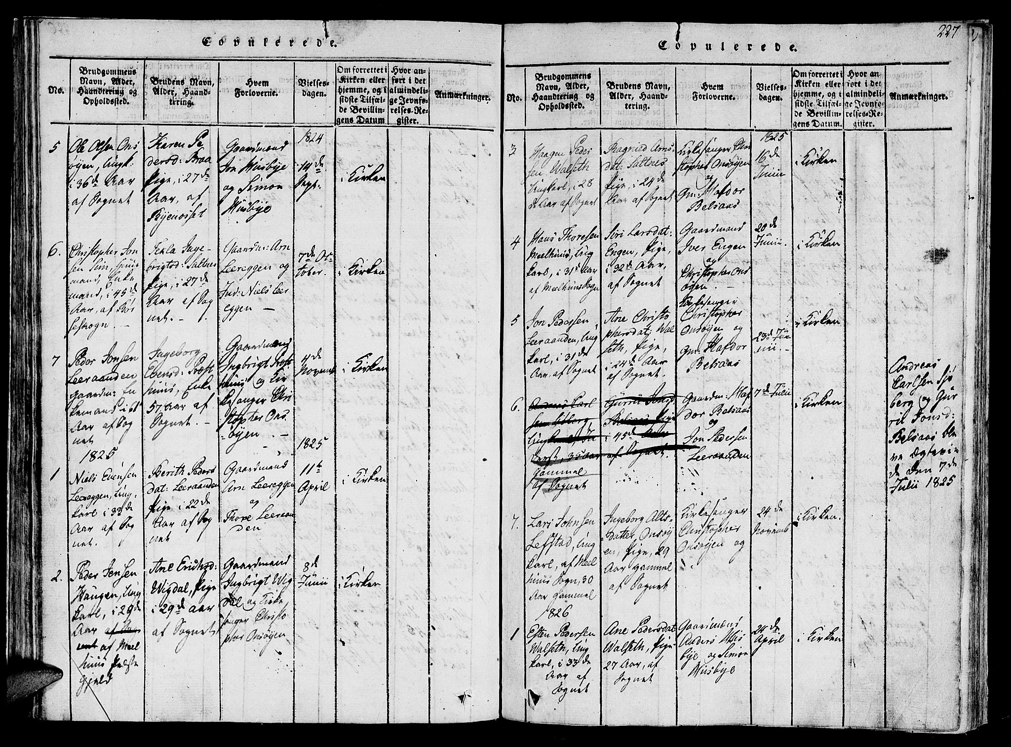 Ministerialprotokoller, klokkerbøker og fødselsregistre - Sør-Trøndelag, AV/SAT-A-1456/612/L0373: Ministerialbok nr. 612A06 /2, 1816-1828, s. 227