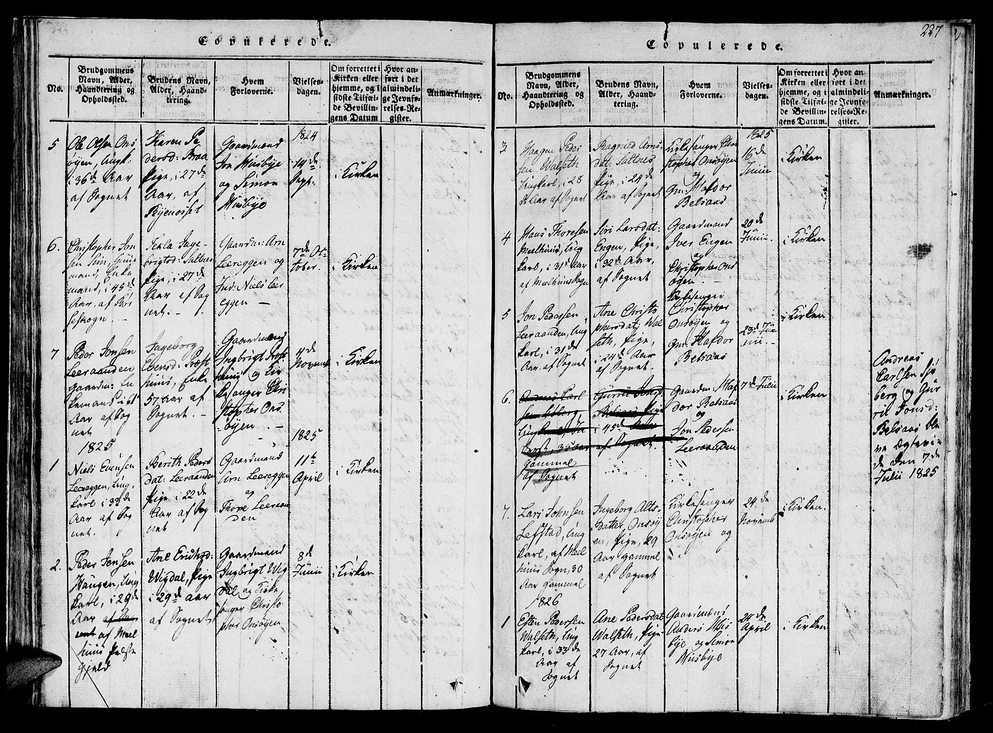 Ministerialprotokoller, klokkerbøker og fødselsregistre - Sør-Trøndelag, SAT/A-1456/612/L0373: Ministerialbok nr. 612A06 /2, 1816-1828, s. 227