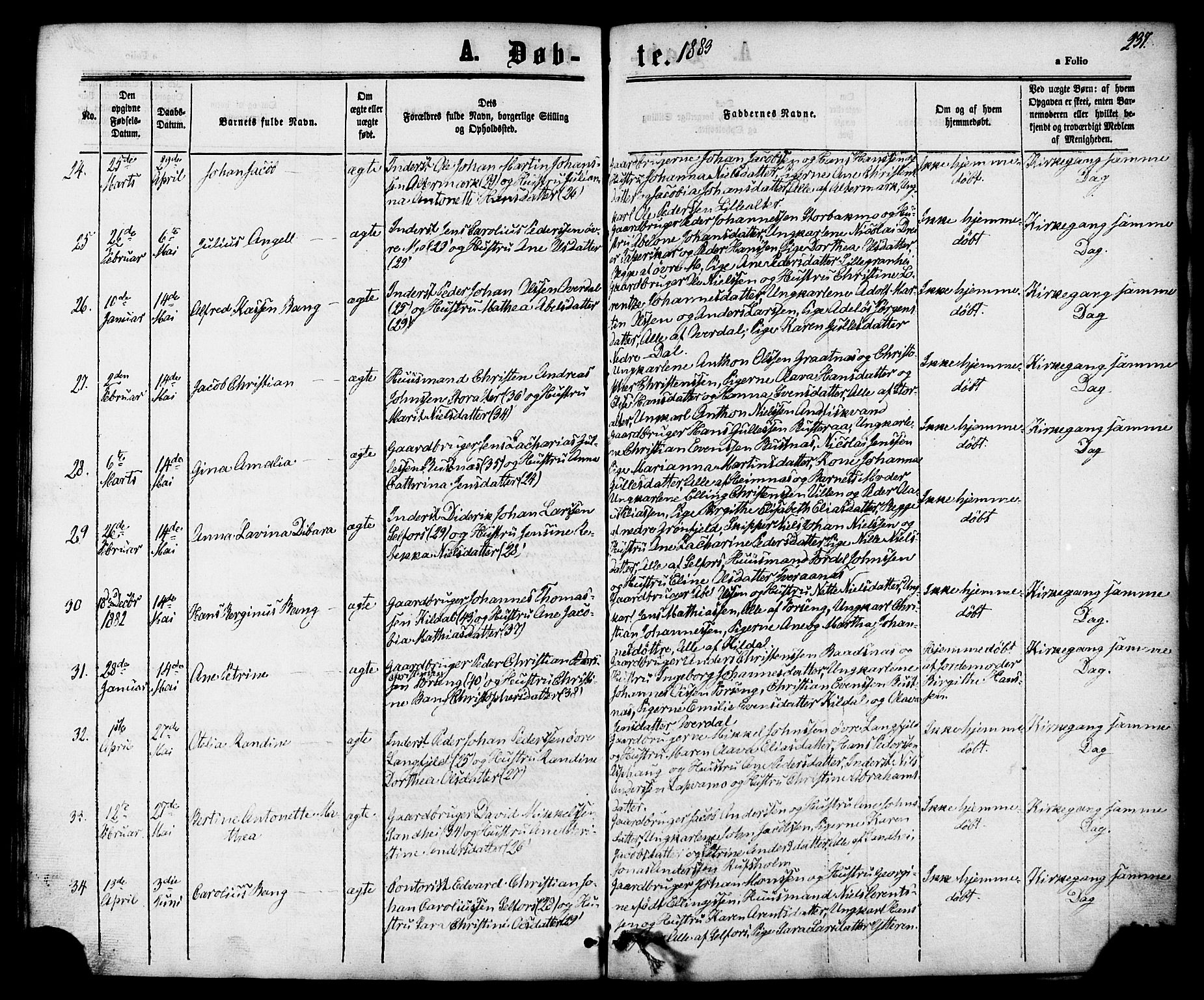 Ministerialprotokoller, klokkerbøker og fødselsregistre - Nordland, AV/SAT-A-1459/827/L0393: Ministerialbok nr. 827A05, 1863-1883, s. 237