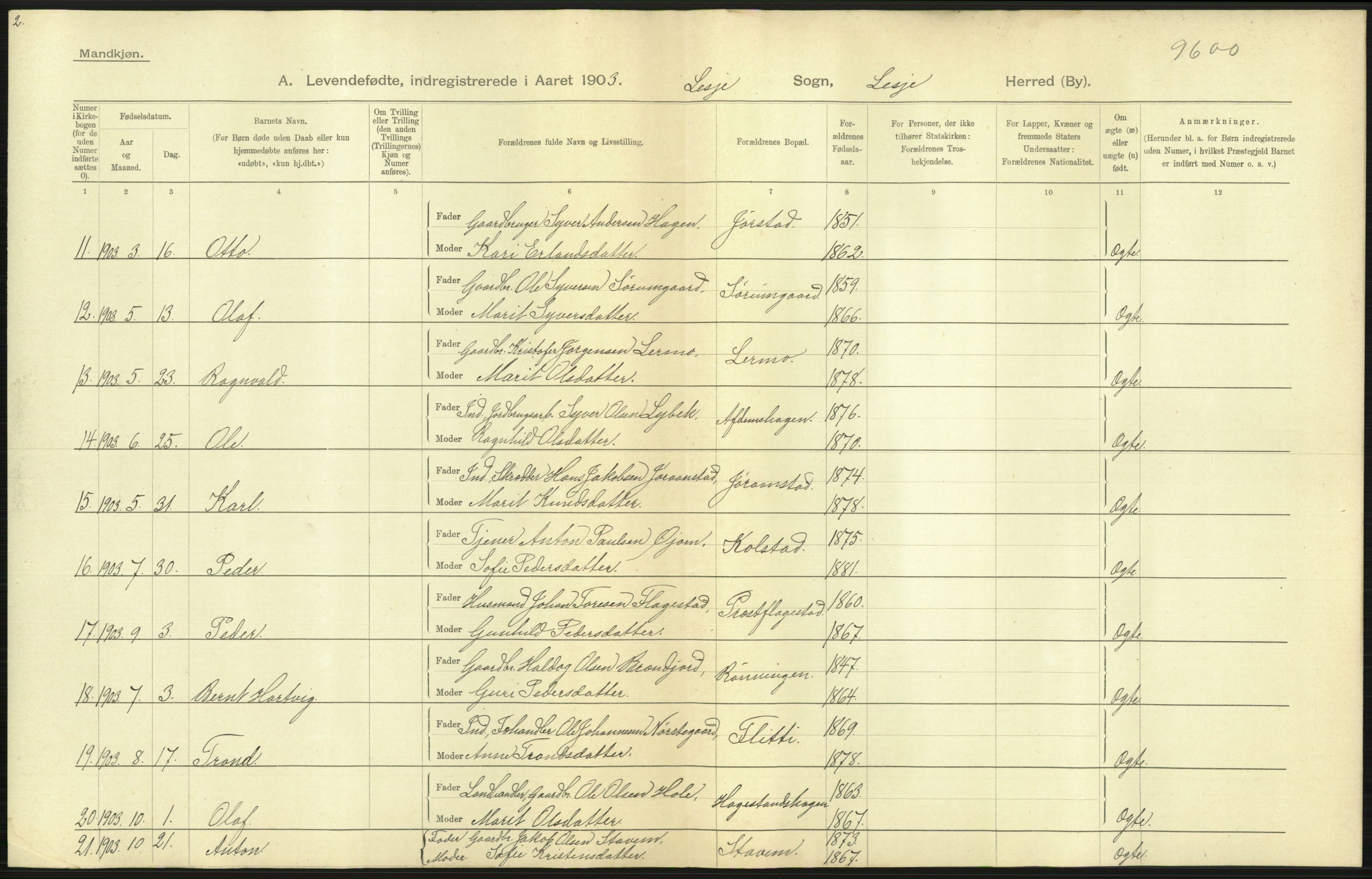 Statistisk sentralbyrå, Sosiodemografiske emner, Befolkning, AV/RA-S-2228/D/Df/Dfa/Dfaa/L0006: Kristians amt: Fødte, gifte, døde, 1903, s. 11