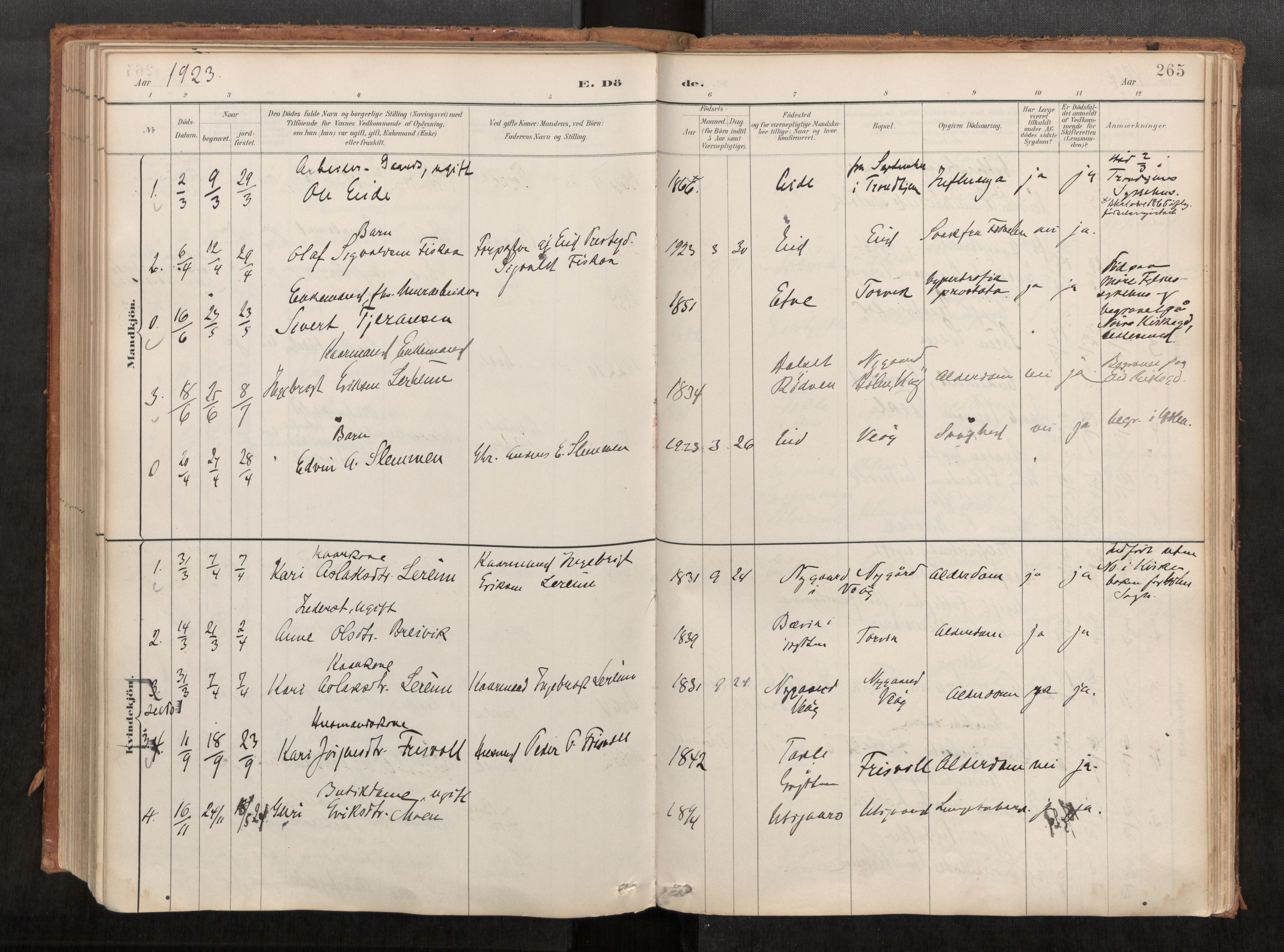 Ministerialprotokoller, klokkerbøker og fødselsregistre - Møre og Romsdal, AV/SAT-A-1454/542/L0553: Ministerialbok nr. 542A03, 1885-1925, s. 265