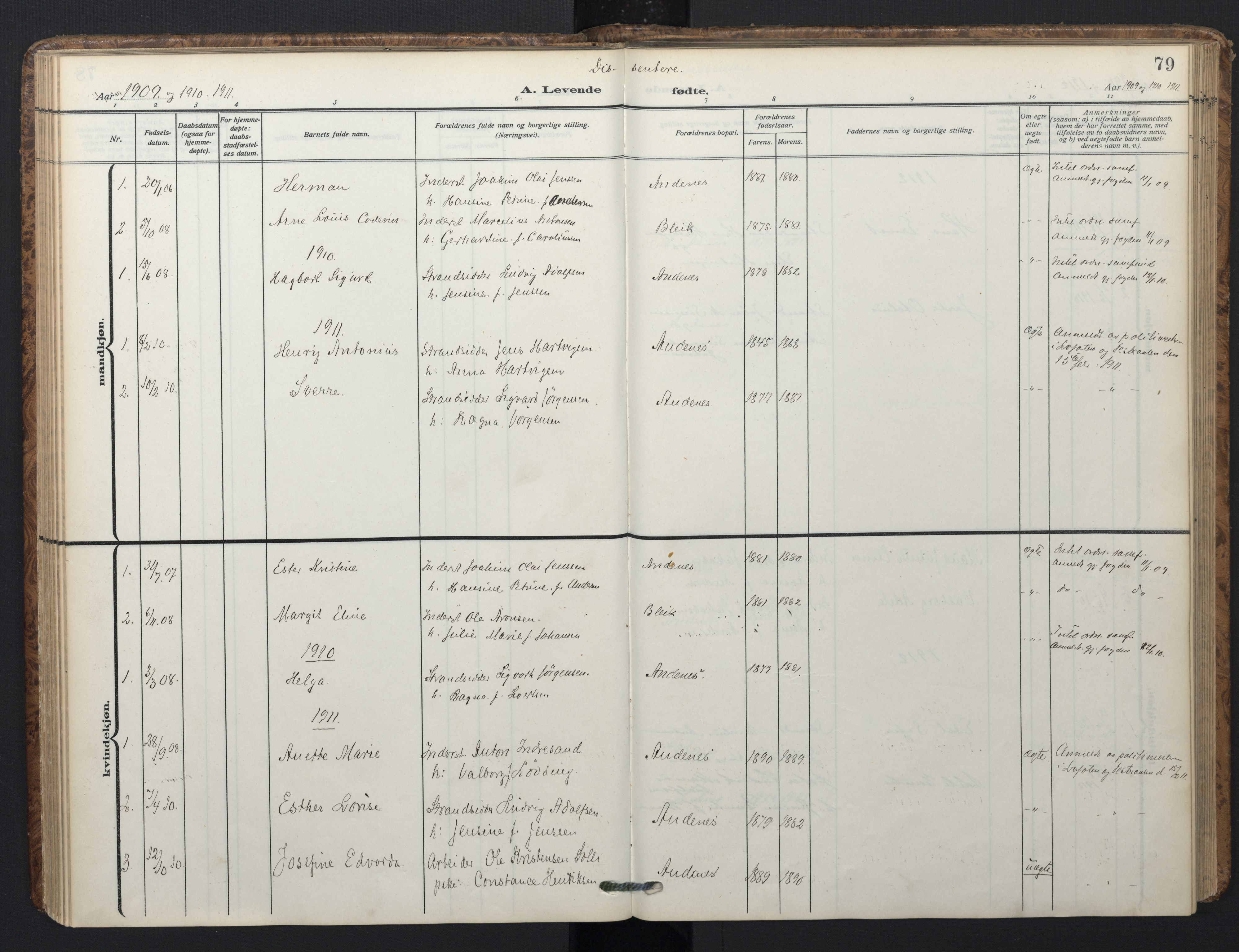 Ministerialprotokoller, klokkerbøker og fødselsregistre - Nordland, AV/SAT-A-1459/899/L1438: Ministerialbok nr. 899A06, 1909-1922, s. 79