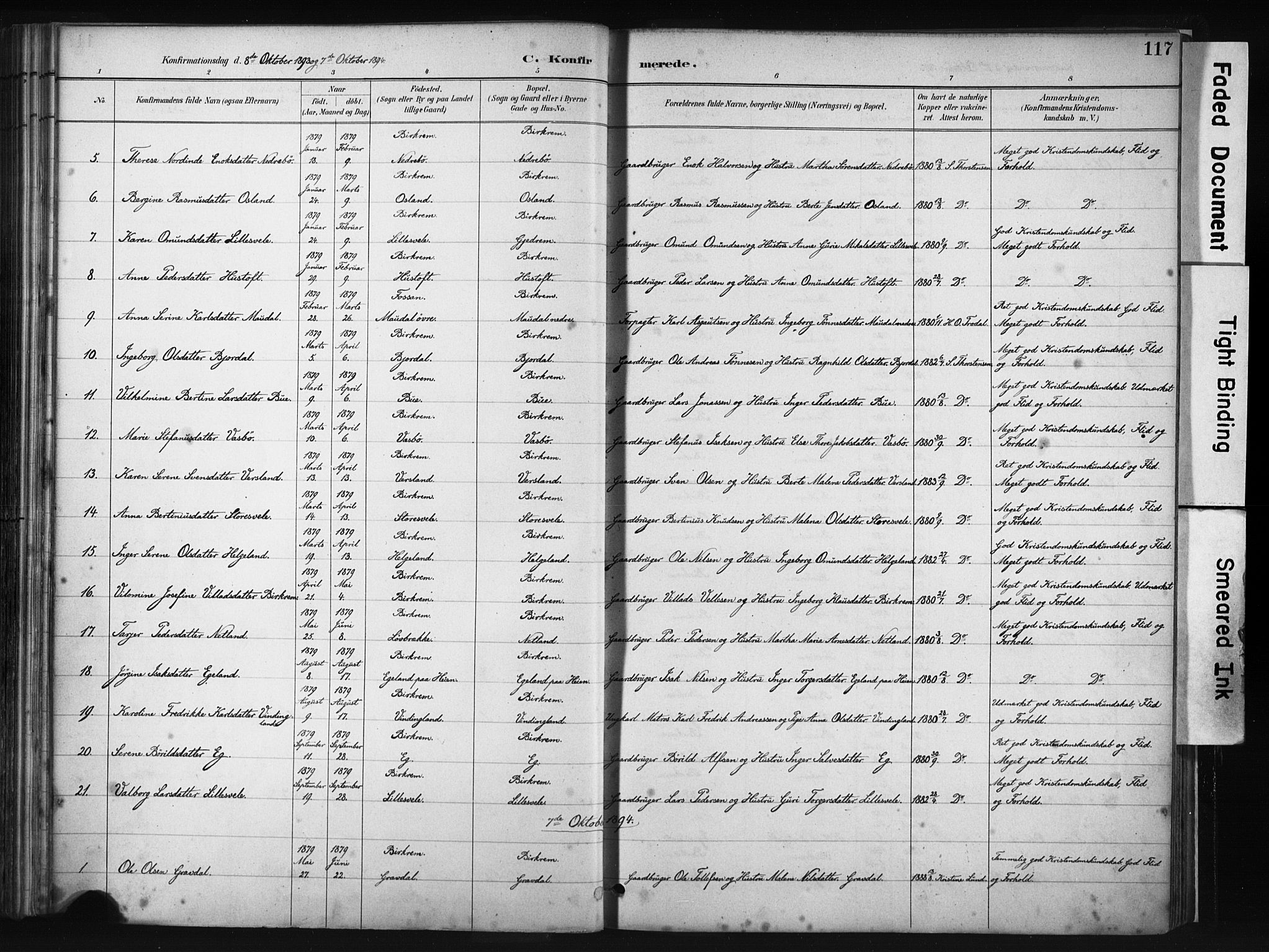 Helleland sokneprestkontor, SAST/A-101810: Ministerialbok nr. A 9, 1887-1908, s. 117