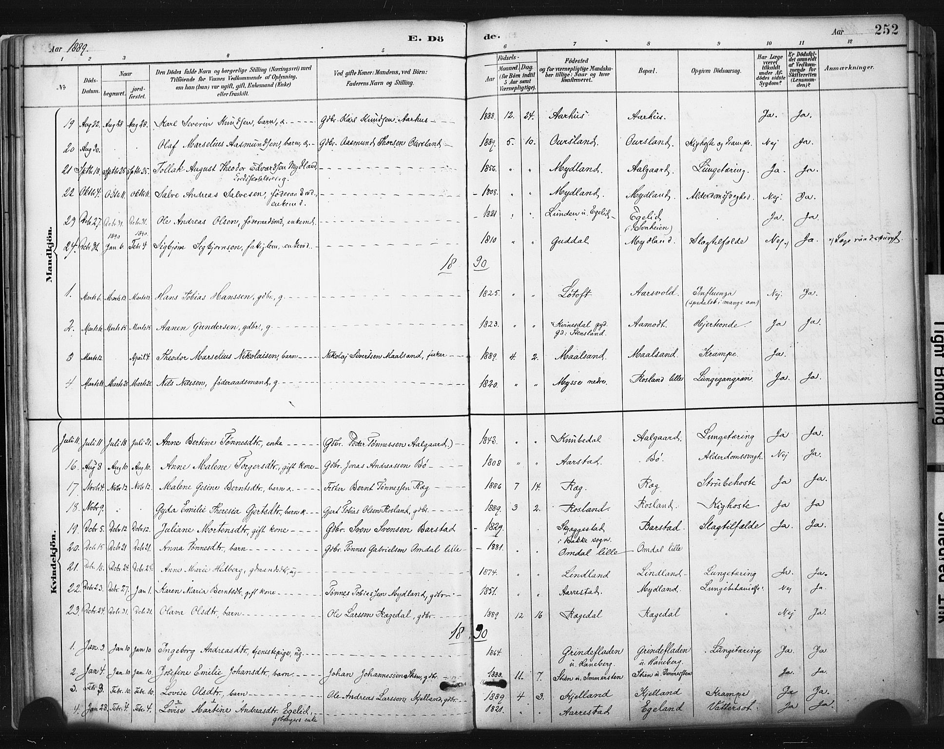 Sokndal sokneprestkontor, AV/SAST-A-101808: Ministerialbok nr. A 11.2, 1887-1905, s. 252
