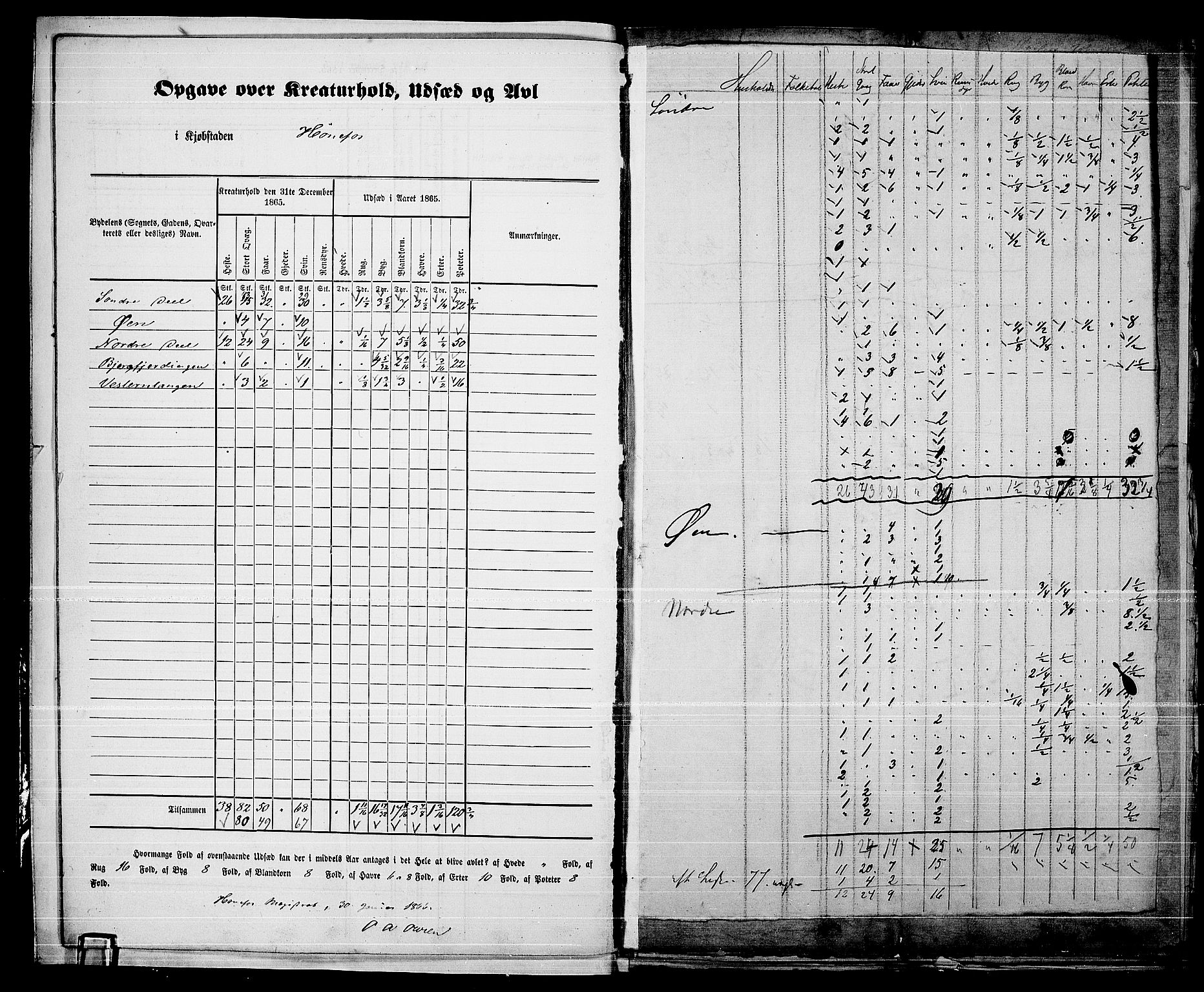 RA, Folketelling 1865 for 0601B Norderhov prestegjeld, Hønefoss kjøpstad, 1865, s. 7