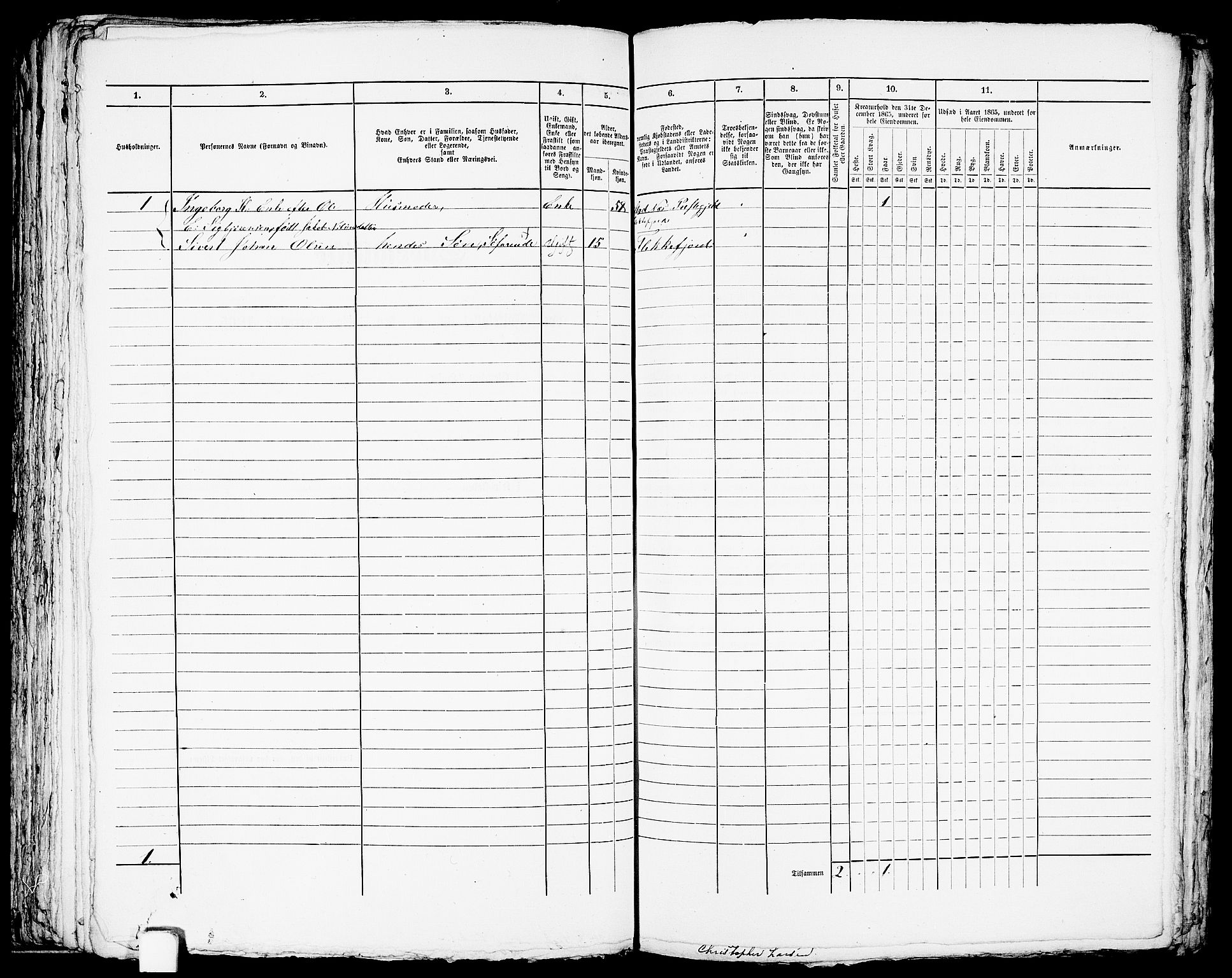 RA, Folketelling 1865 for 1004B Flekkefjord prestegjeld, Flekkefjord kjøpstad, 1865, s. 205