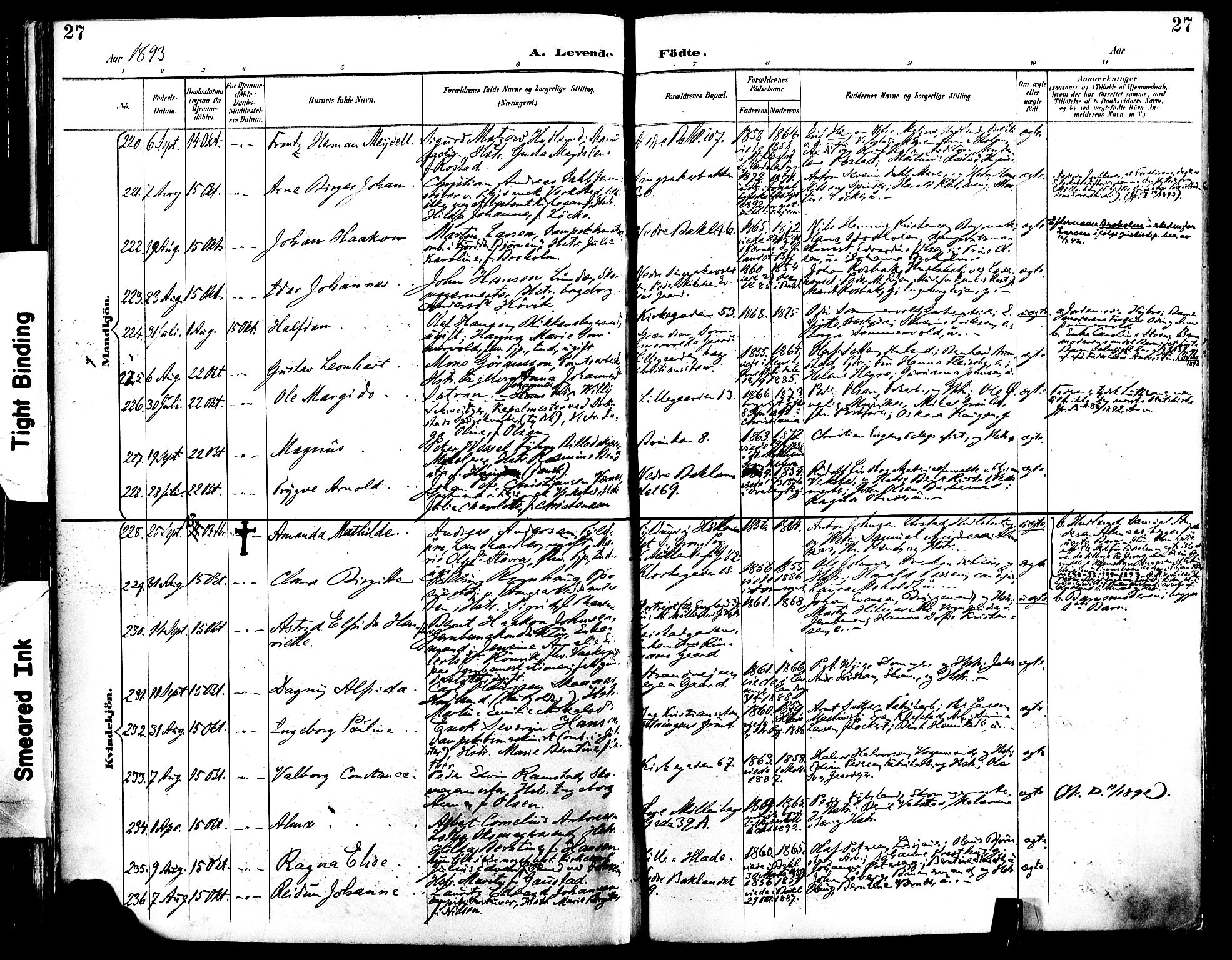 Ministerialprotokoller, klokkerbøker og fødselsregistre - Sør-Trøndelag, SAT/A-1456/604/L0197: Ministerialbok nr. 604A18, 1893-1900, s. 27