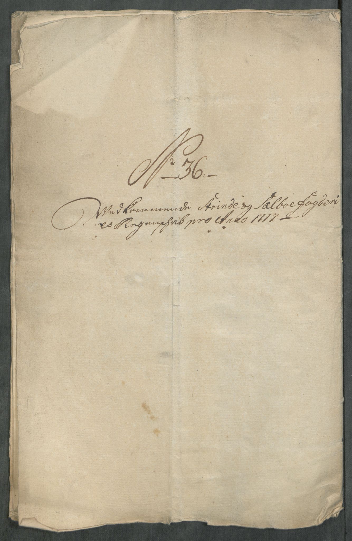 Rentekammeret inntil 1814, Reviderte regnskaper, Fogderegnskap, RA/EA-4092/R61/L4116: Fogderegnskap Strinda og Selbu, 1717-1718, s. 248