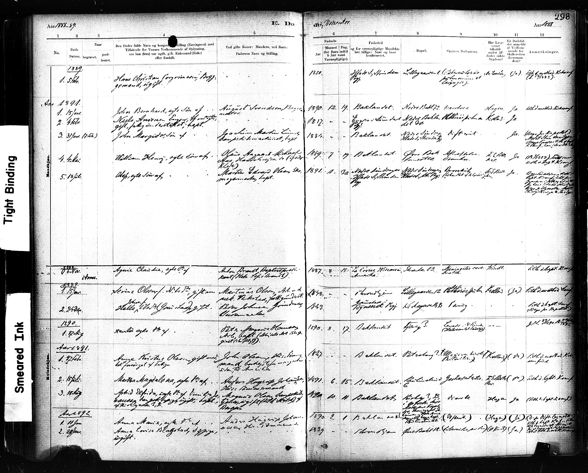 Ministerialprotokoller, klokkerbøker og fødselsregistre - Sør-Trøndelag, SAT/A-1456/604/L0189: Ministerialbok nr. 604A10, 1878-1892, s. 298