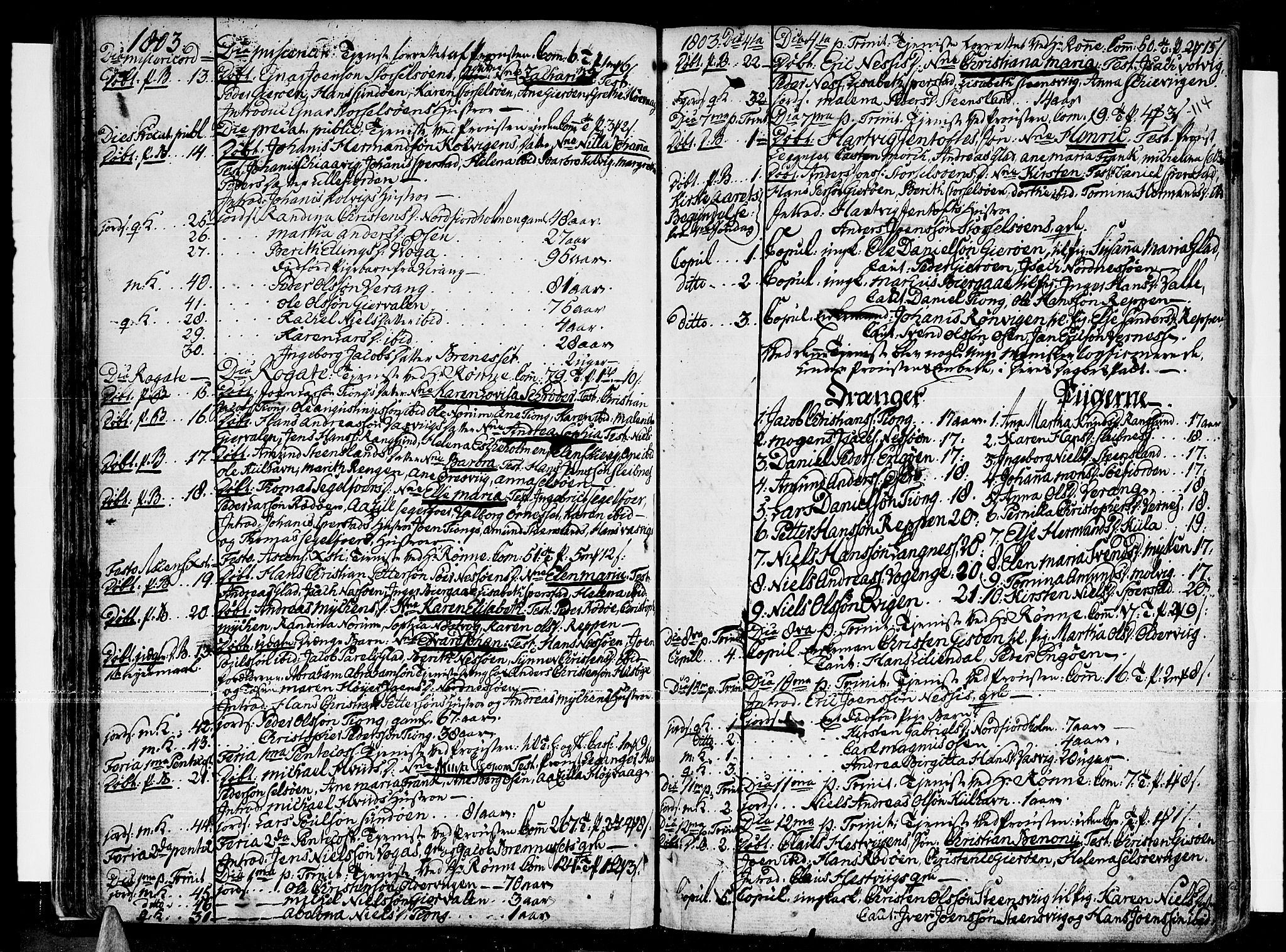 Ministerialprotokoller, klokkerbøker og fødselsregistre - Nordland, AV/SAT-A-1459/841/L0591: Ministerialbok nr. 841A03 /1, 1777-1819, s. 113-114