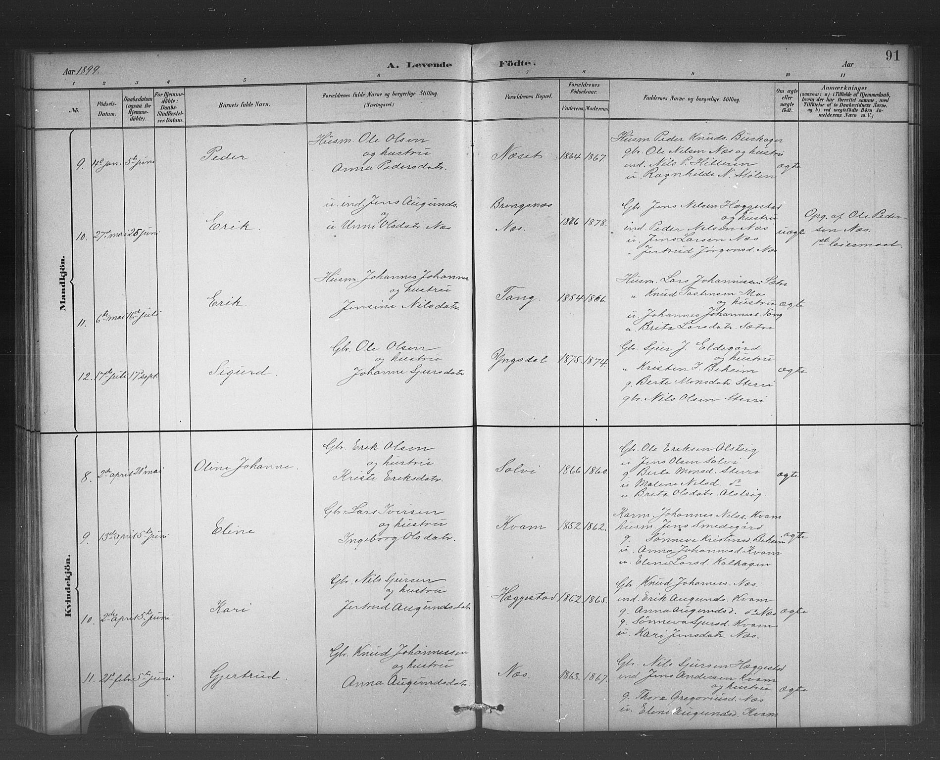Hafslo sokneprestembete, AV/SAB-A-80301/H/Hab/Habb/L0001: Klokkerbok nr. B 1, 1882-1908, s. 91
