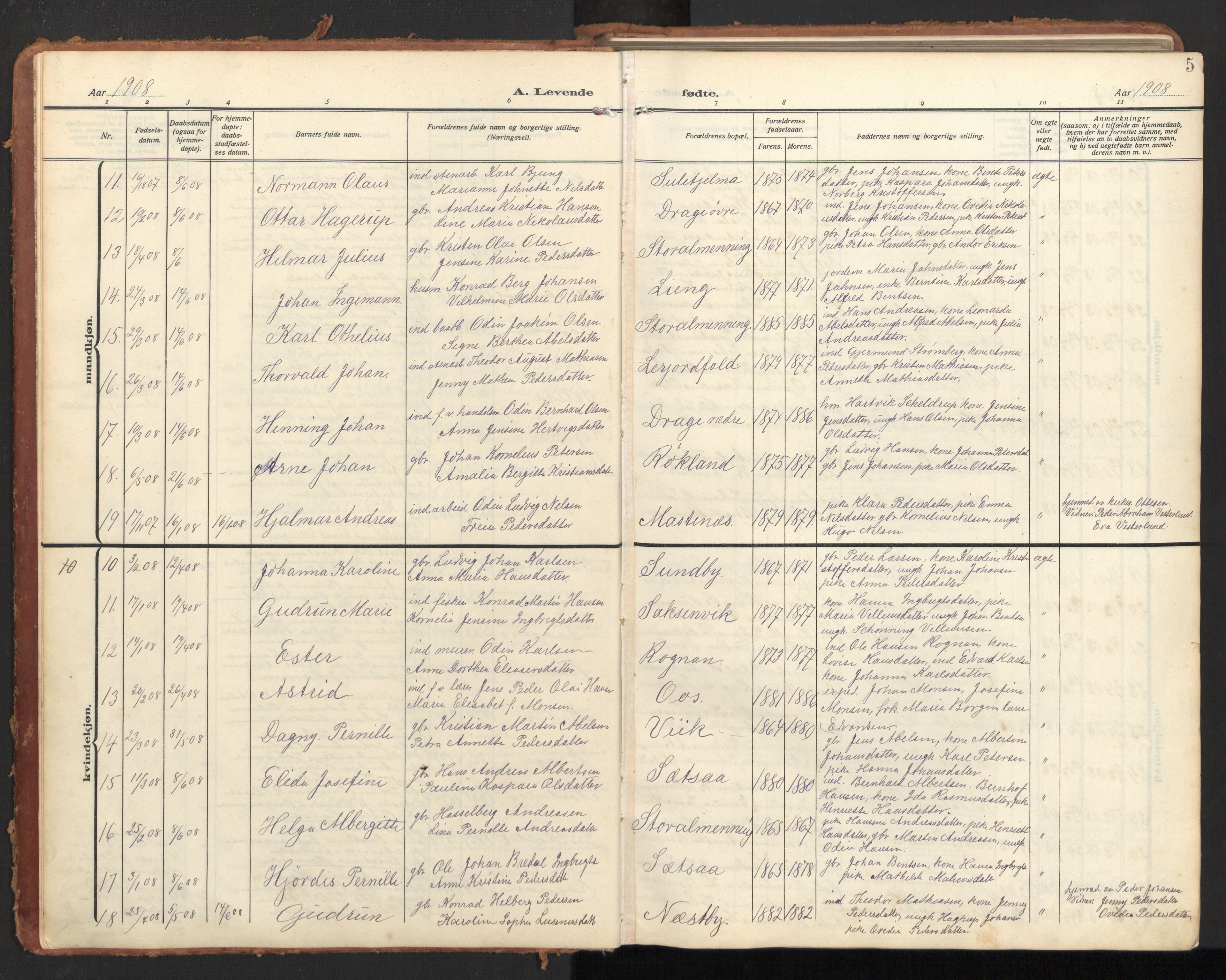 Ministerialprotokoller, klokkerbøker og fødselsregistre - Nordland, SAT/A-1459/847/L0683: Klokkerbok nr. 847C11, 1908-1929, s. 5