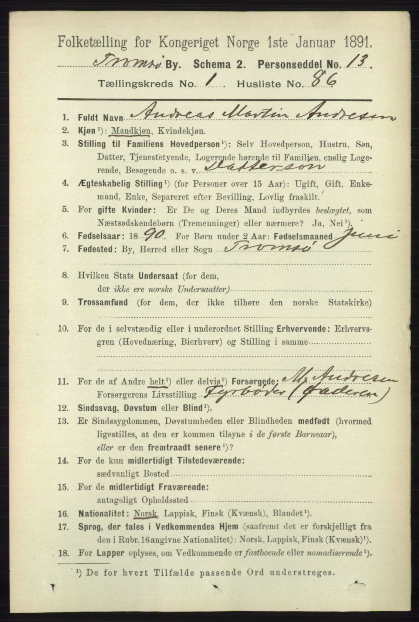 RA, Folketelling 1891 for 1902 Tromsø kjøpstad, 1891, s. 1199