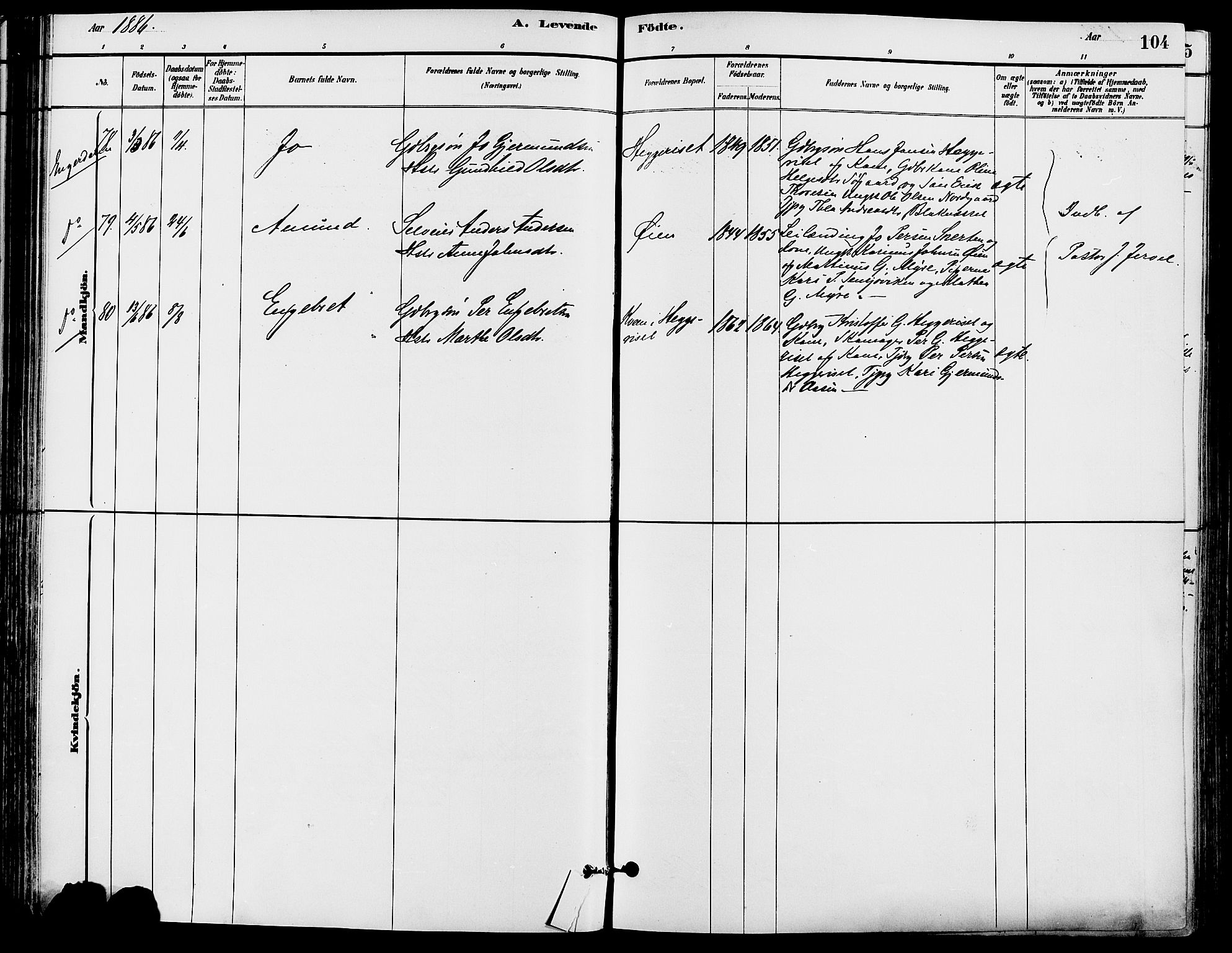 Trysil prestekontor, SAH/PREST-046/H/Ha/Haa/L0008: Ministerialbok nr. 8, 1881-1897, s. 104