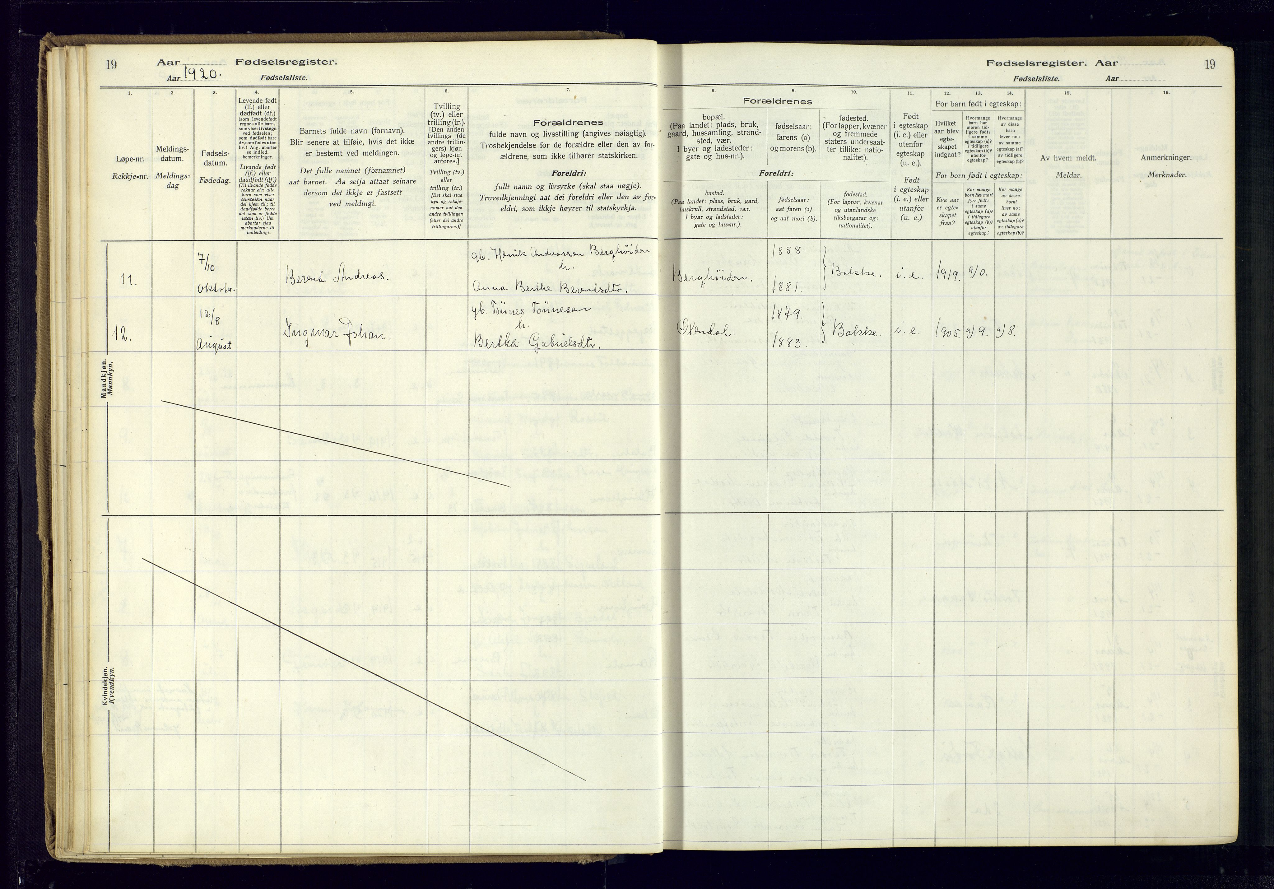 Bakke sokneprestkontor, AV/SAK-1111-0002/J/Ja/L0001: Fødselsregister nr. A-VI-18, 1916-1982, s. 19